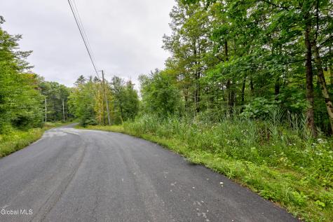 0 Walk Rd Road Sand Lake NY 12153