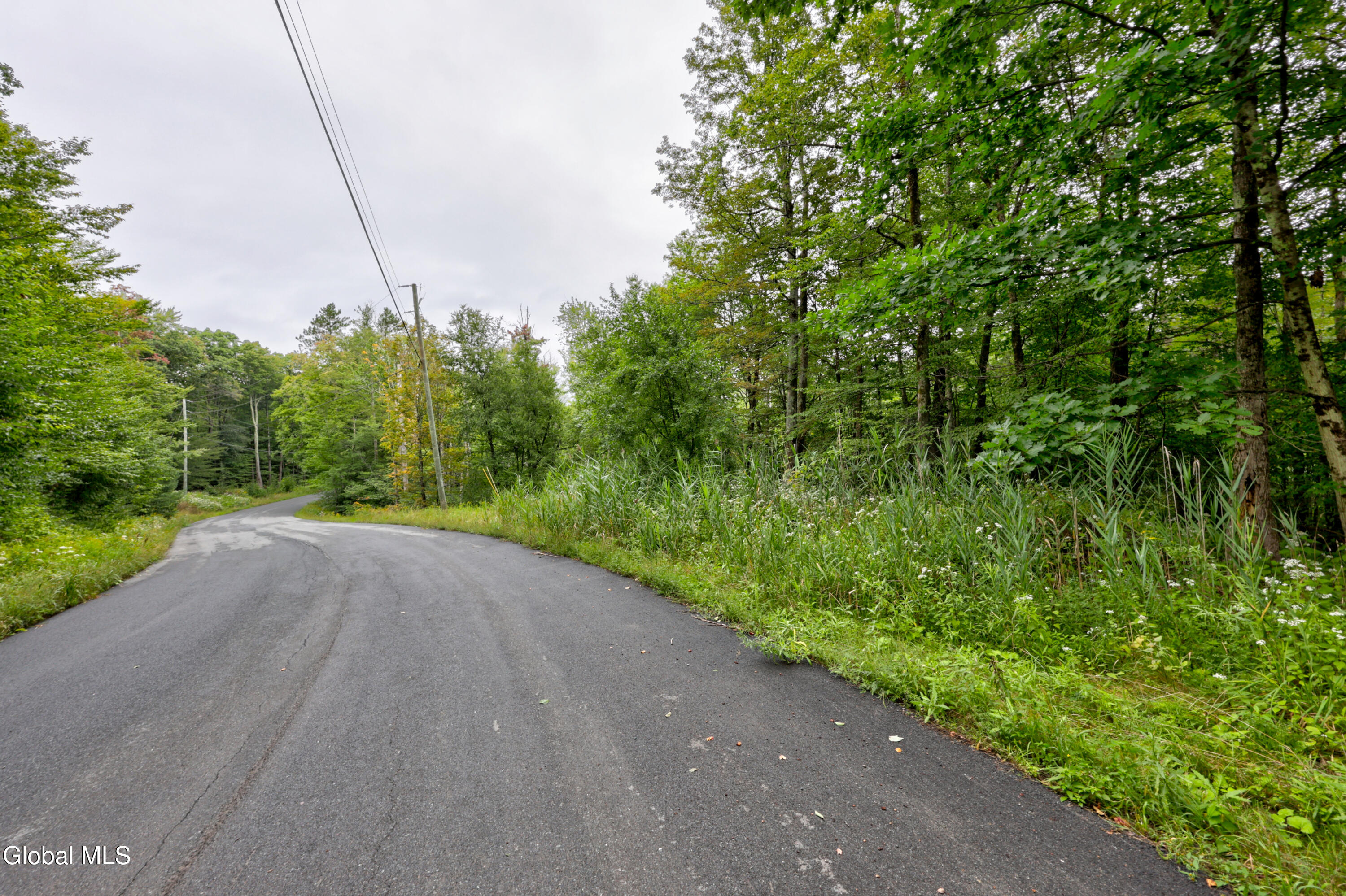0 Walk Rd Road Sand Lake NY 12153