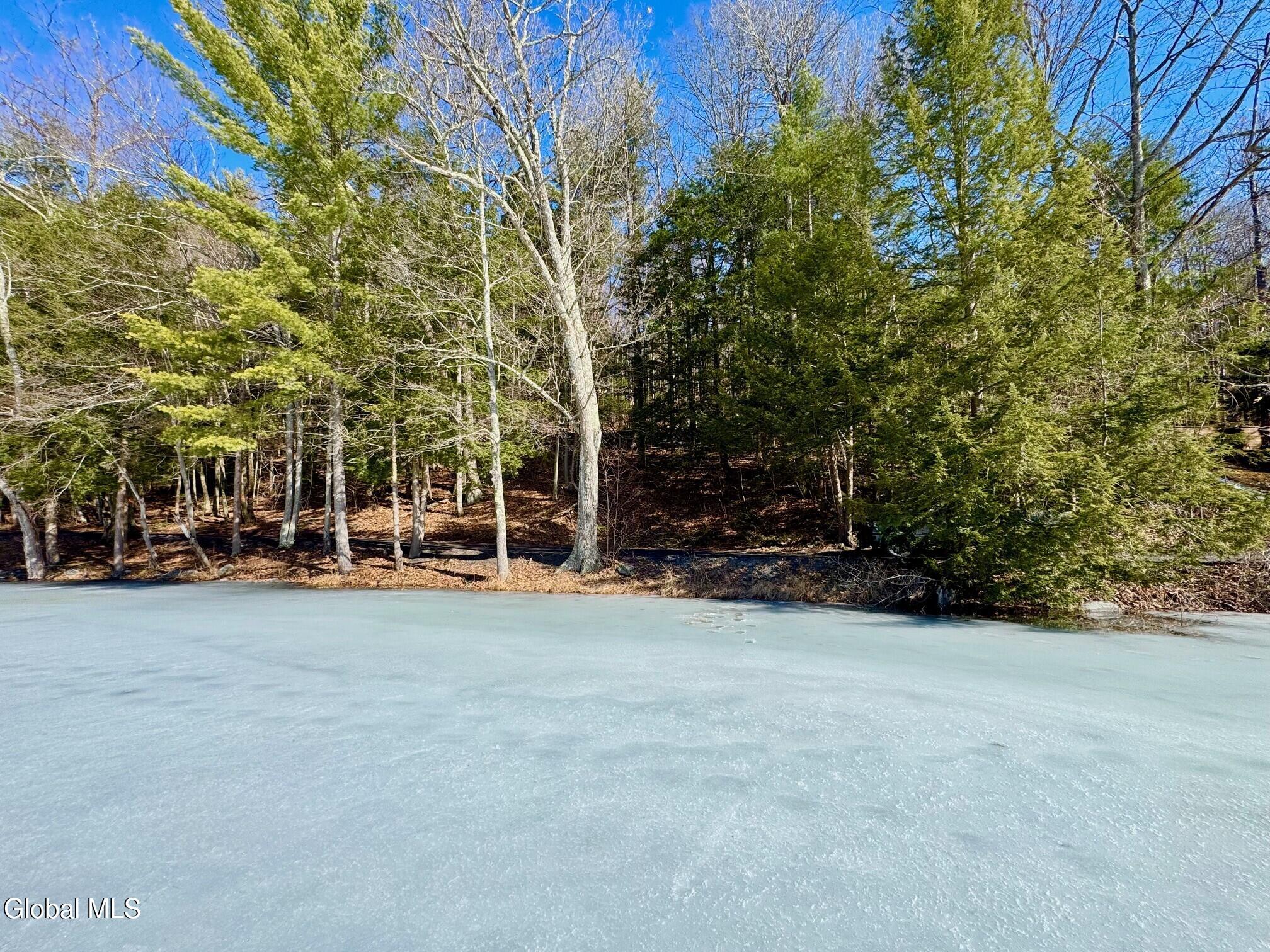 L14.8 Hills Pond Road Hampton NY 12837