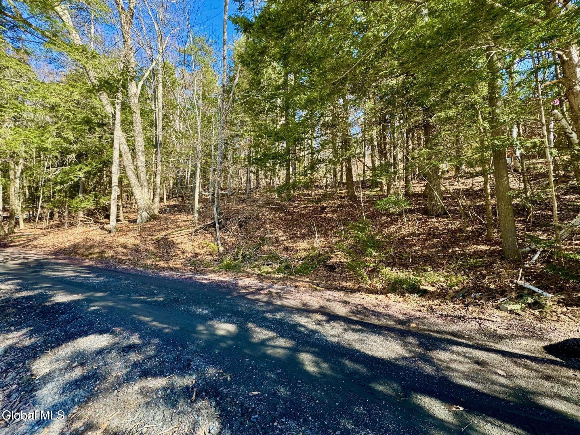 L14.8 Hills Pond Road Hampton NY 12837