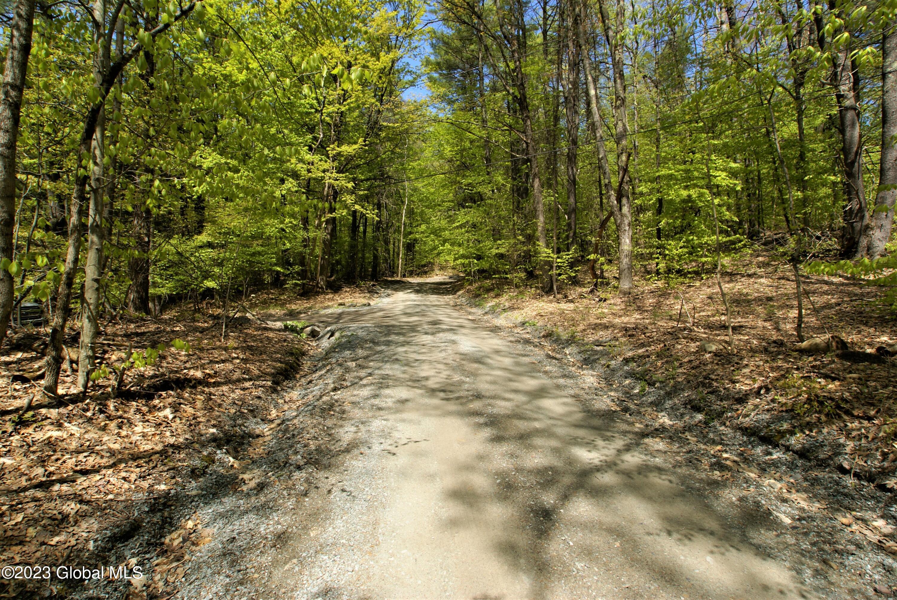 L14.8 Hills Pond Road Hampton NY 12837