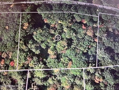 24 Lady Slipper Lane Porter Corners NY 12859