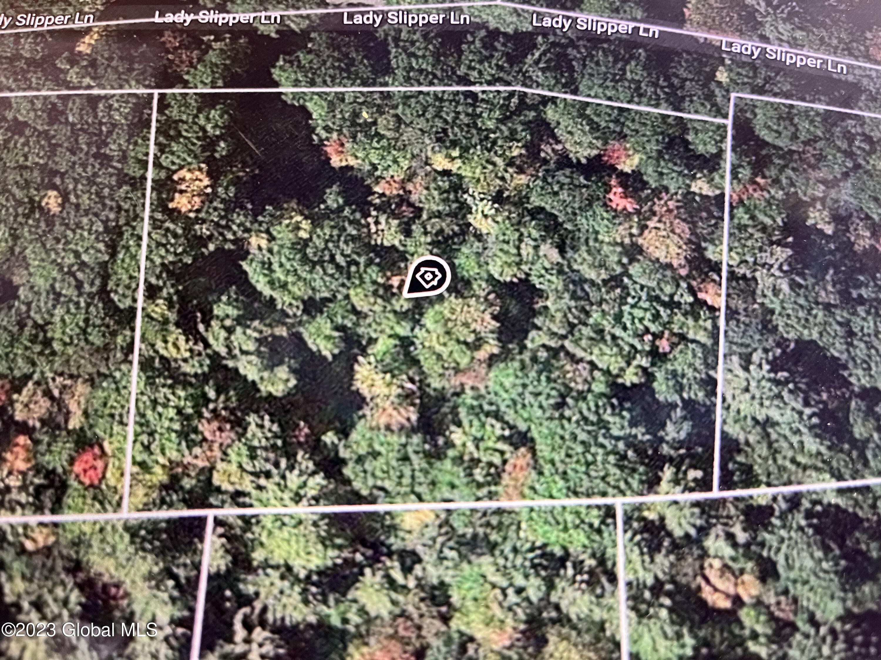 24 Lady Slipper Lane Porter Corners NY 12859