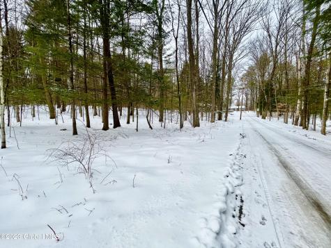 24 Lady Slipper Lane Porter Corners NY 12859