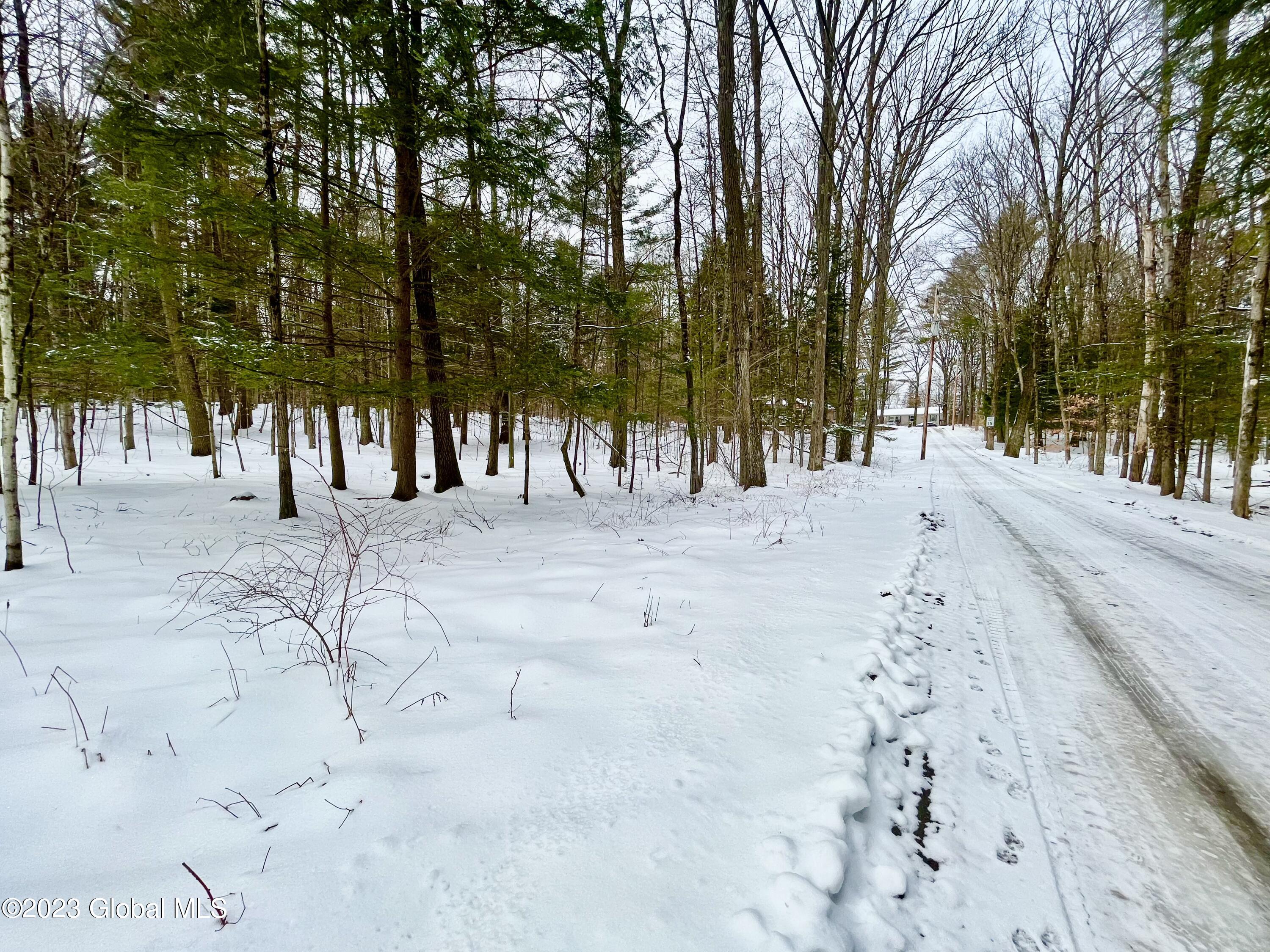24 Lady Slipper Lane Porter Corners NY 12859