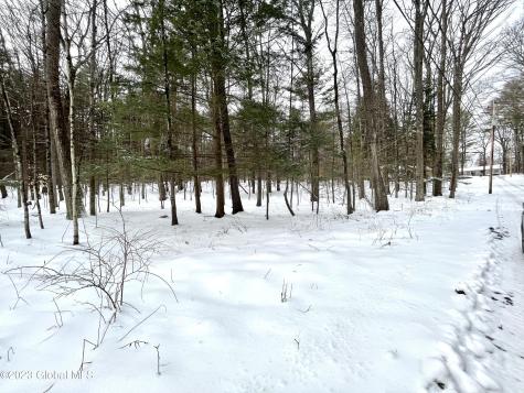 24 Lady Slipper Lane Porter Corners NY 12859