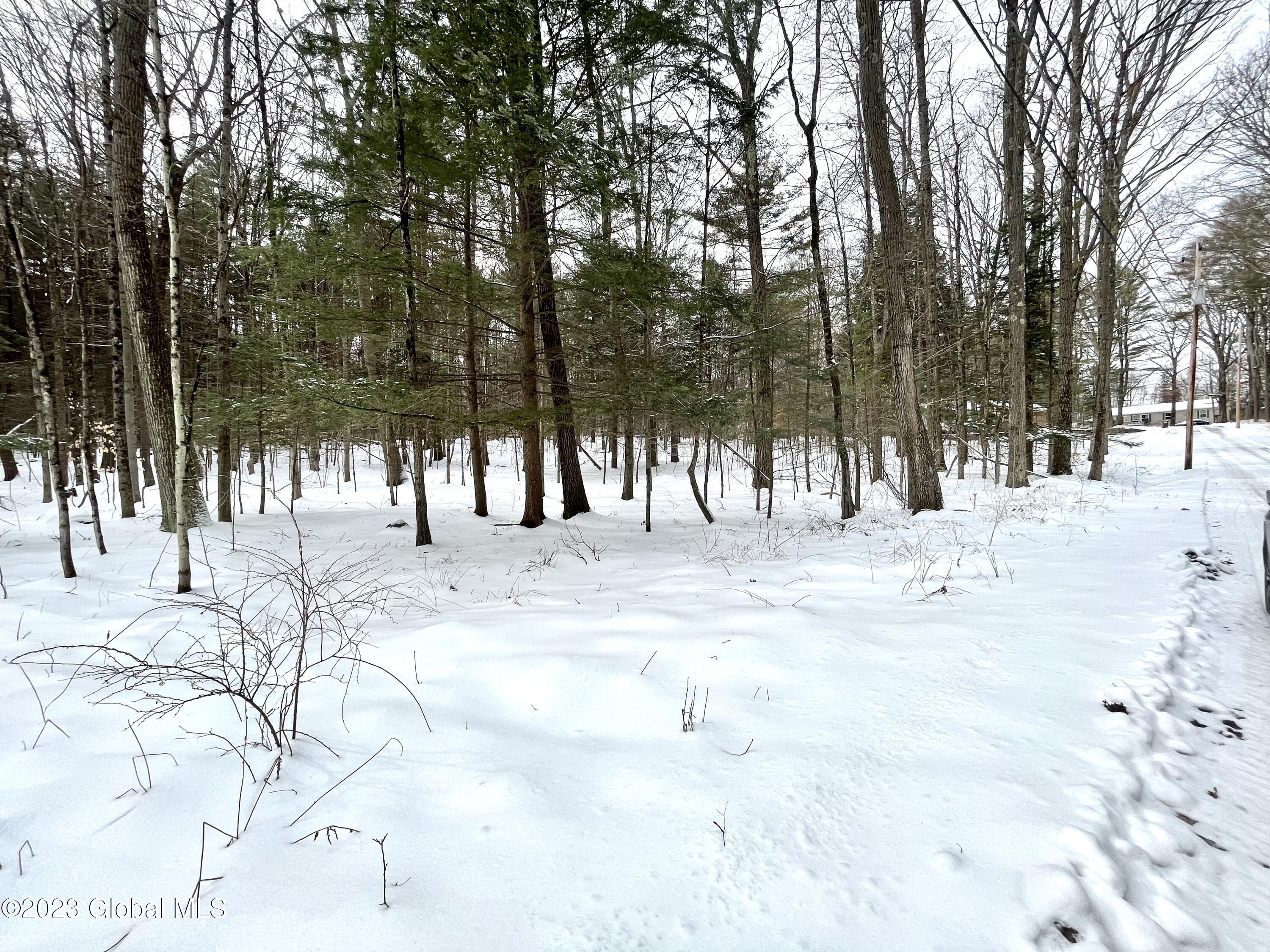 24 Lady Slipper Lane Porter Corners NY 12859