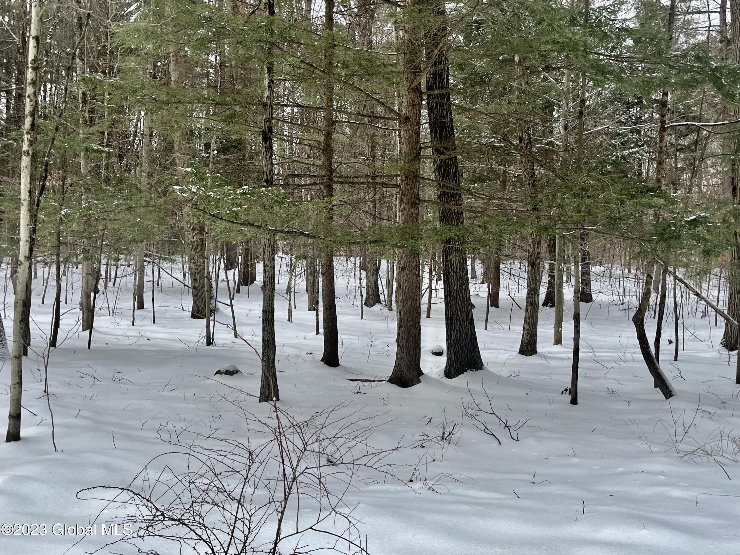 24 Lady Slipper Lane Porter Corners NY 12859