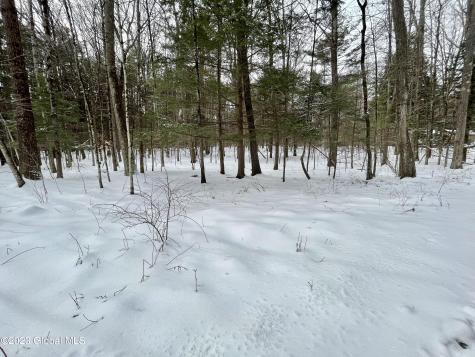 24 Lady Slipper Lane Porter Corners NY 12859