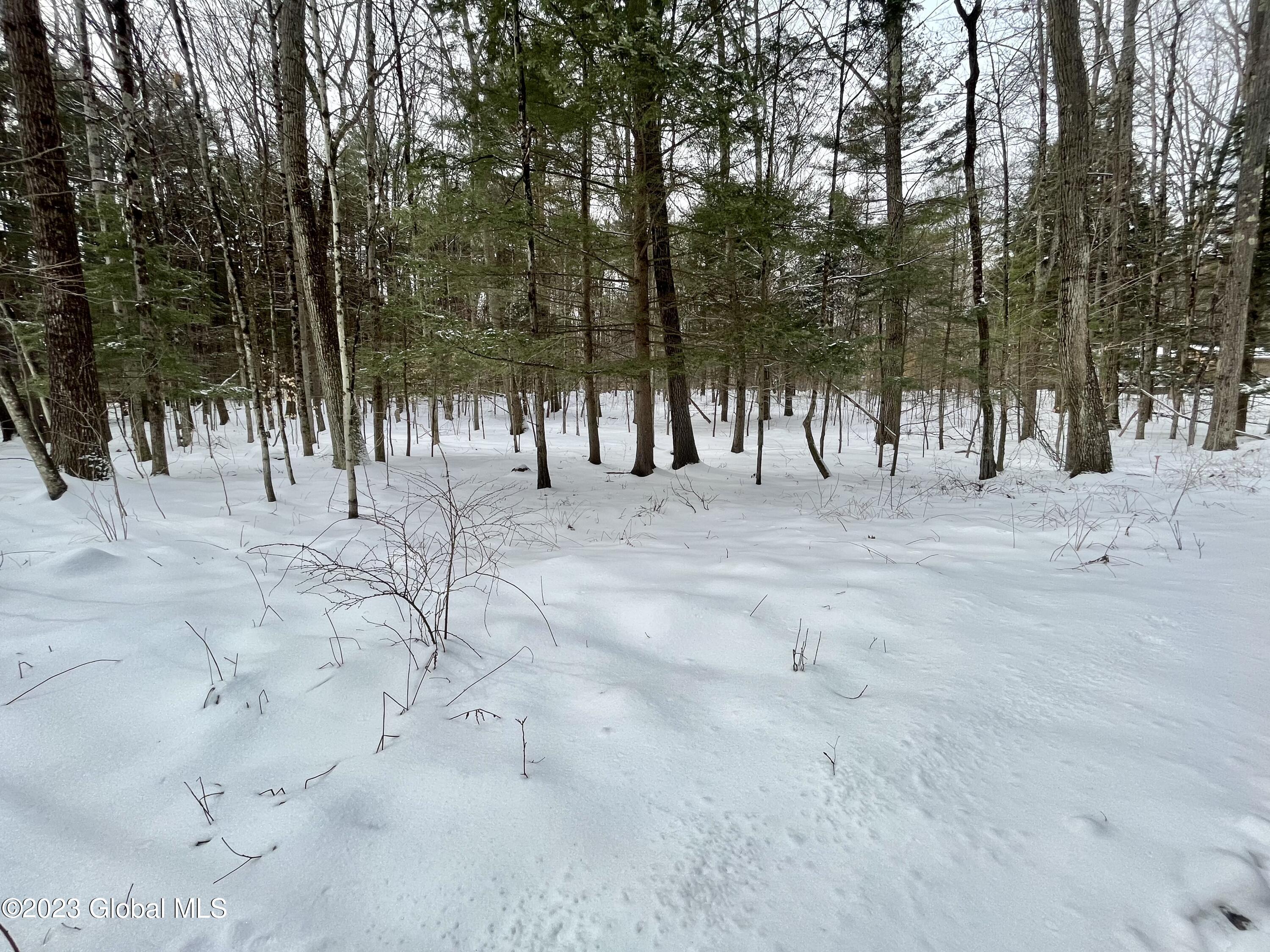 24 Lady Slipper Lane Porter Corners NY 12859