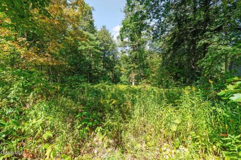1127 Meadowdale Road Altamont NY 12009