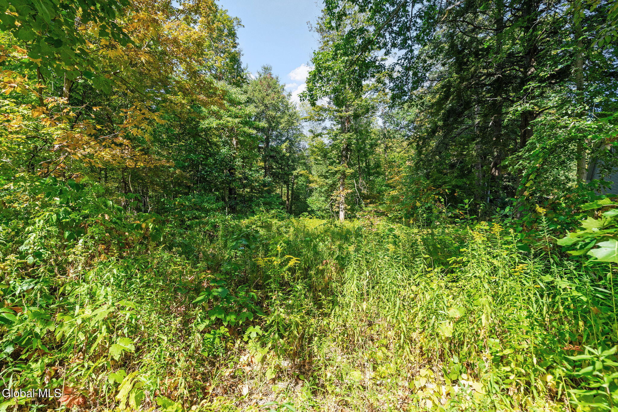 1127 Meadowdale Road Altamont NY 12009