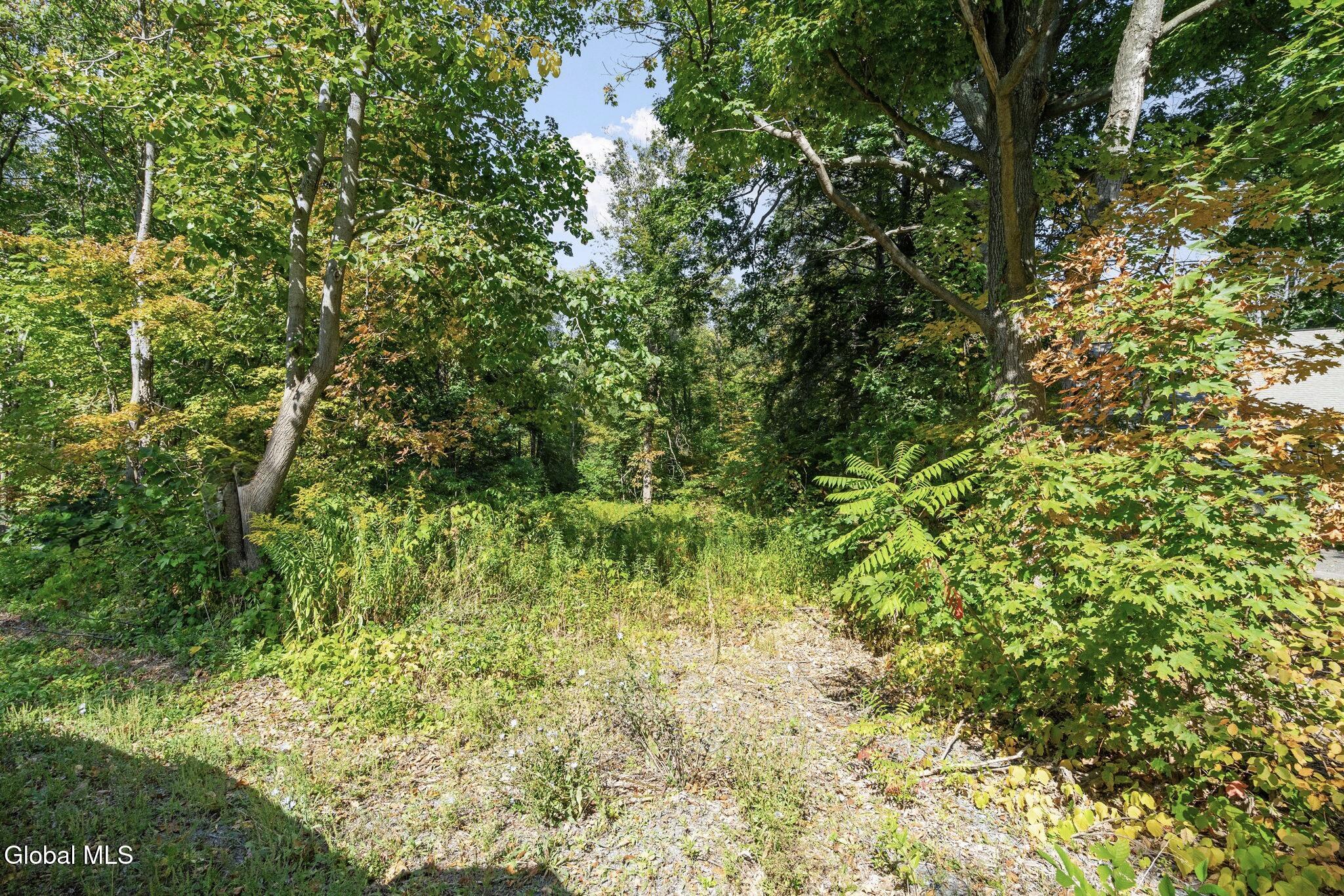 1127 Meadowdale Road Altamont NY 12009