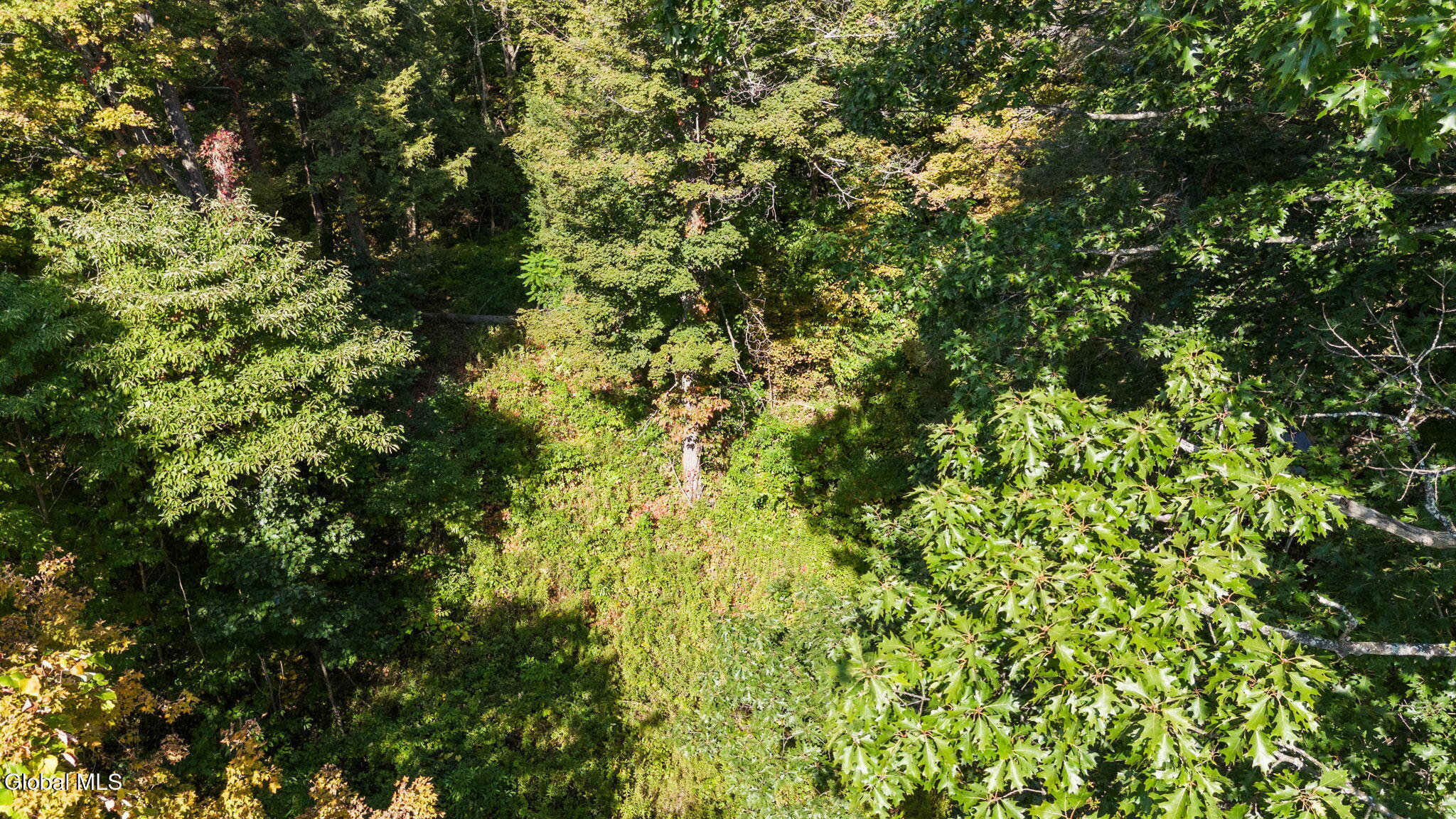 1127 Meadowdale Road Altamont NY 12009