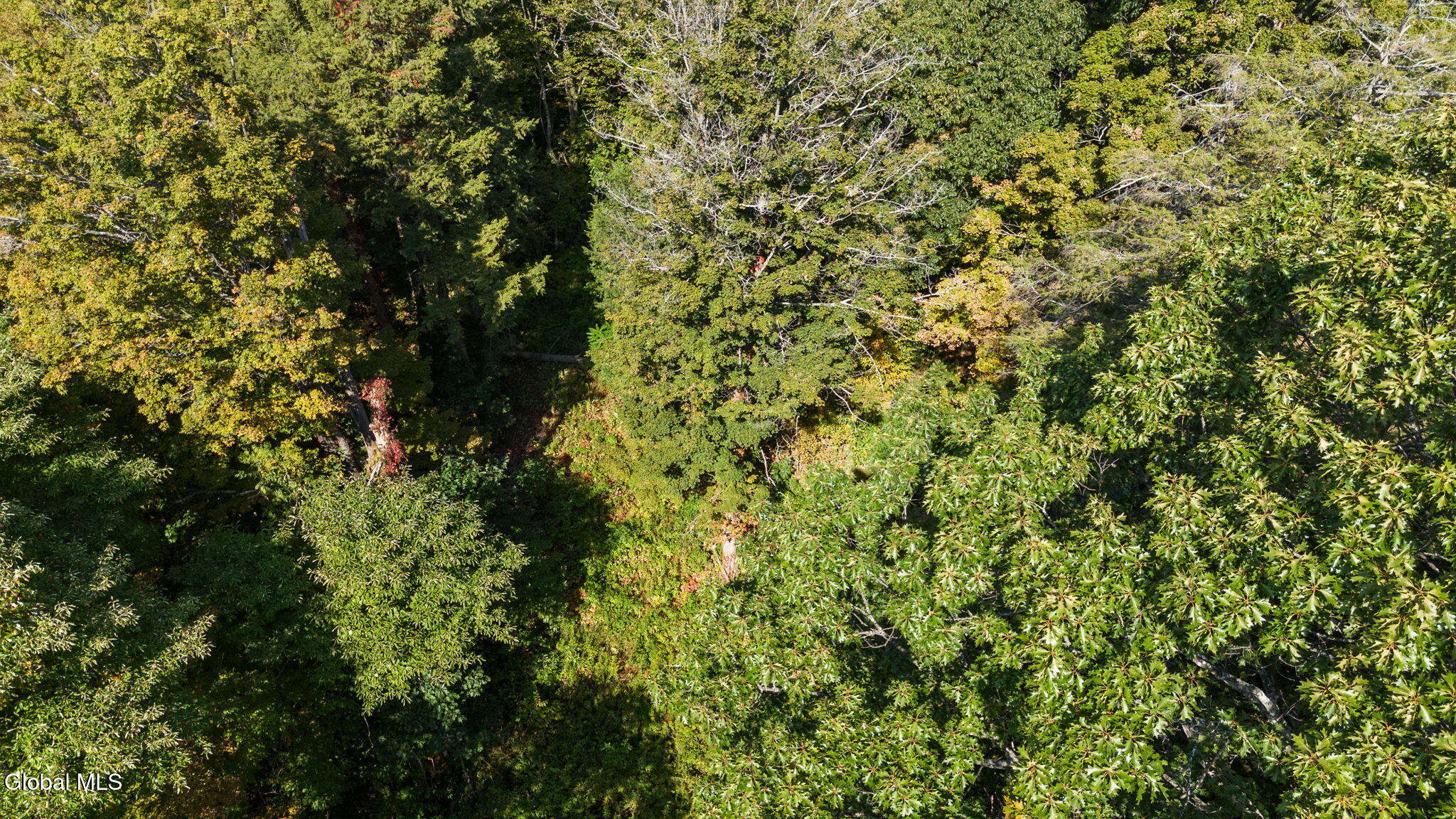 1127 Meadowdale Road Altamont NY 12009
