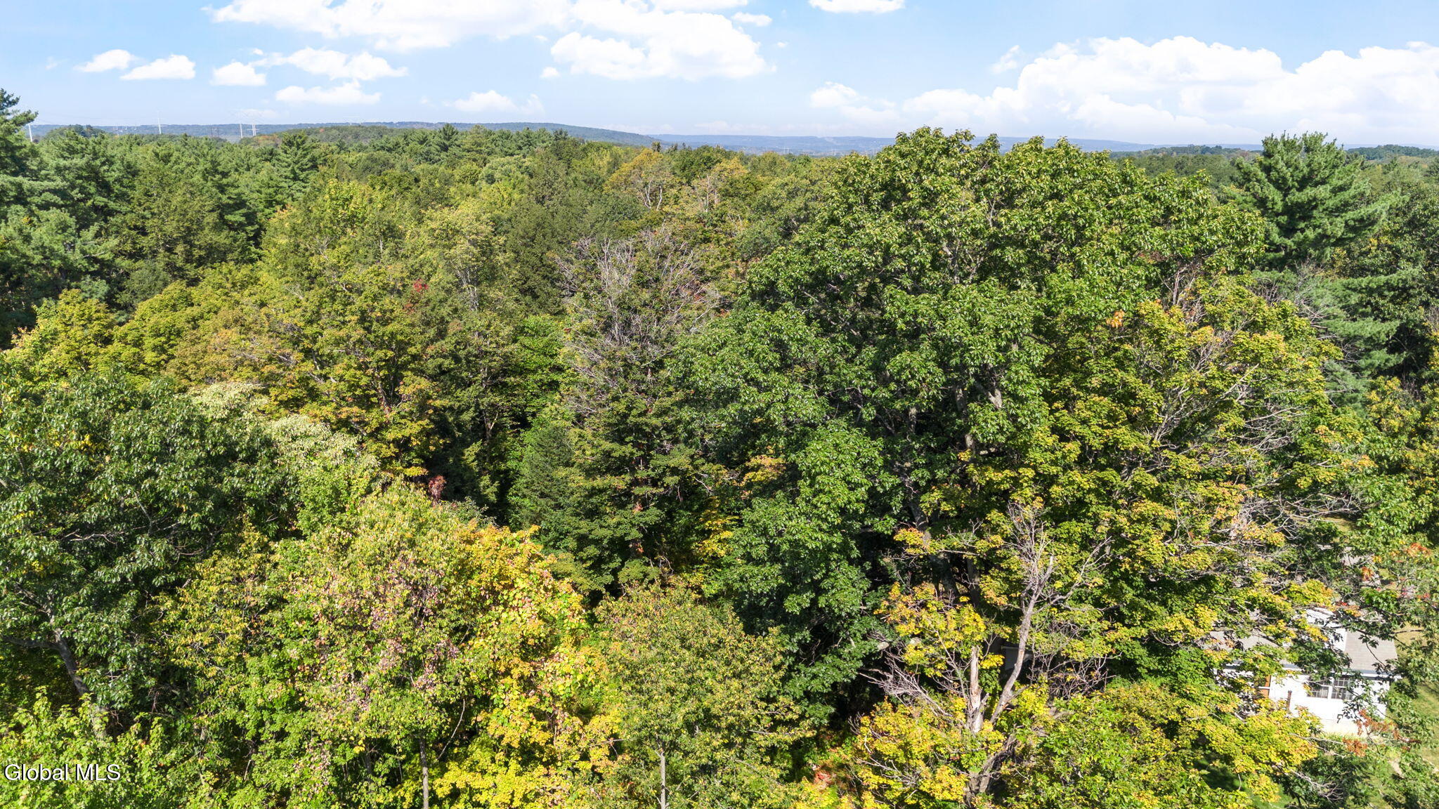 1127 Meadowdale Road Altamont NY 12009