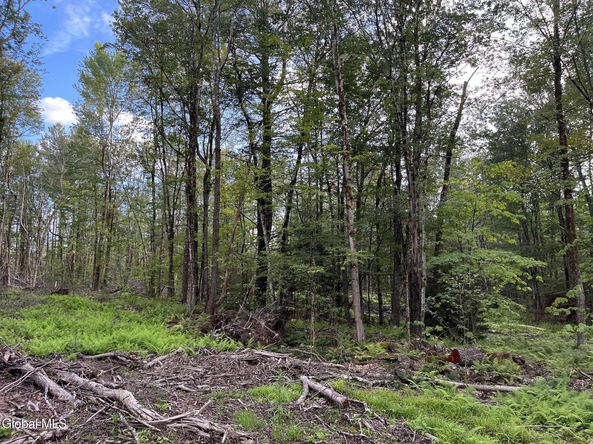 204 Crandall Road Petersburgh NY 12138