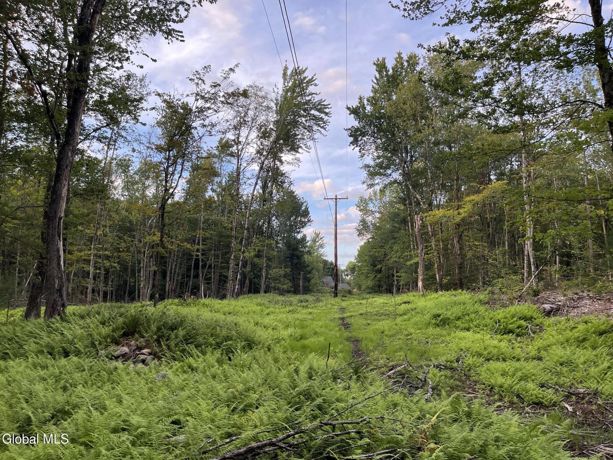 204 Crandall Road Petersburgh NY 12138