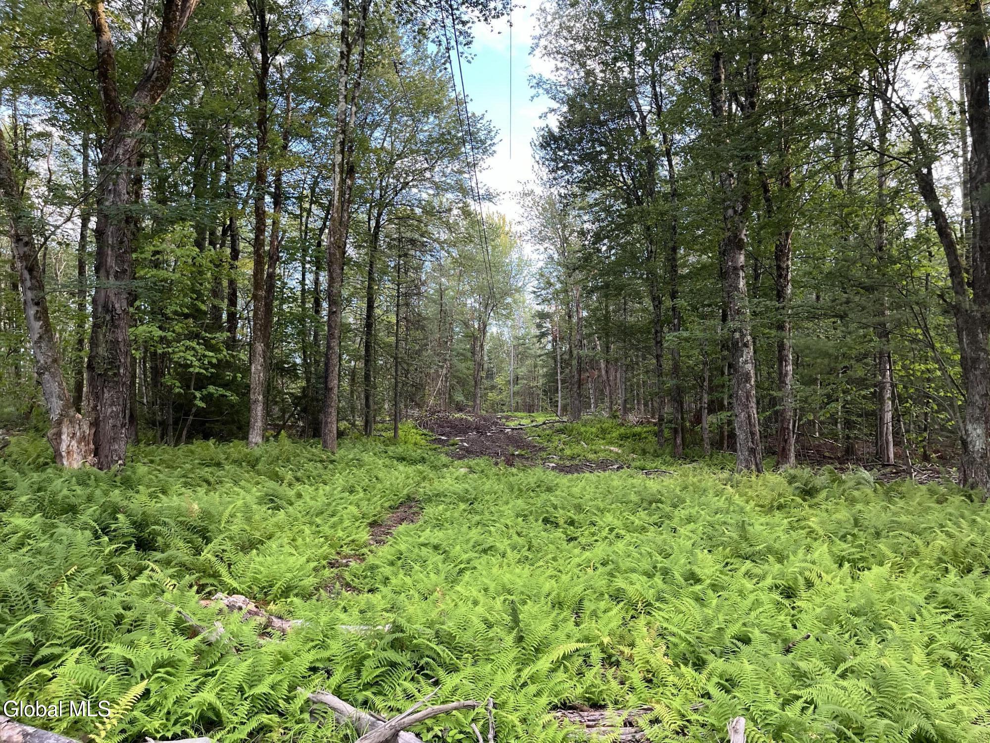 204 Crandall Road Petersburgh NY 12138