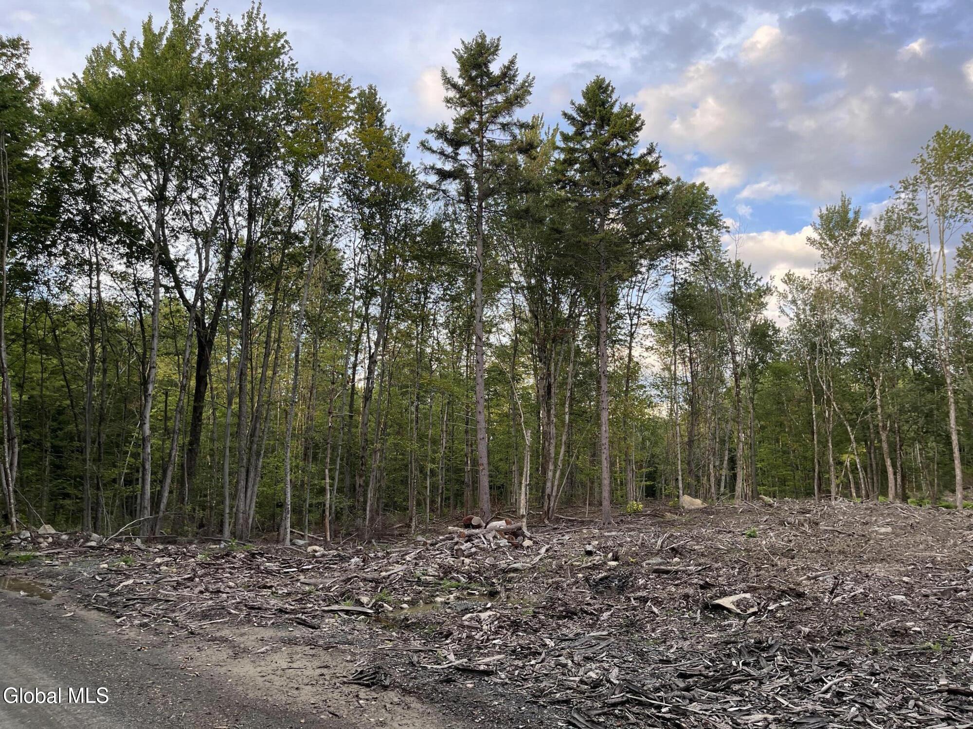 204 Crandall Road Petersburgh NY 12138