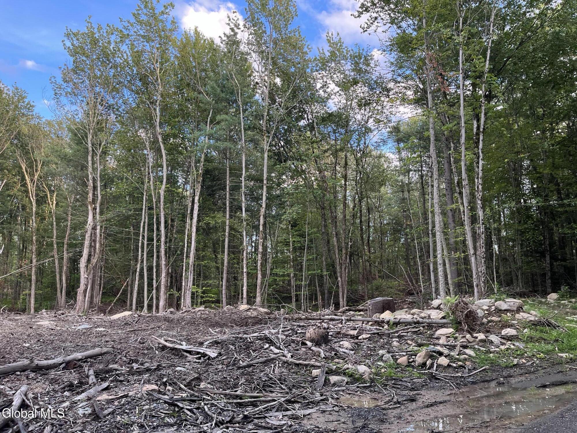 204 Crandall Road Petersburgh NY 12138