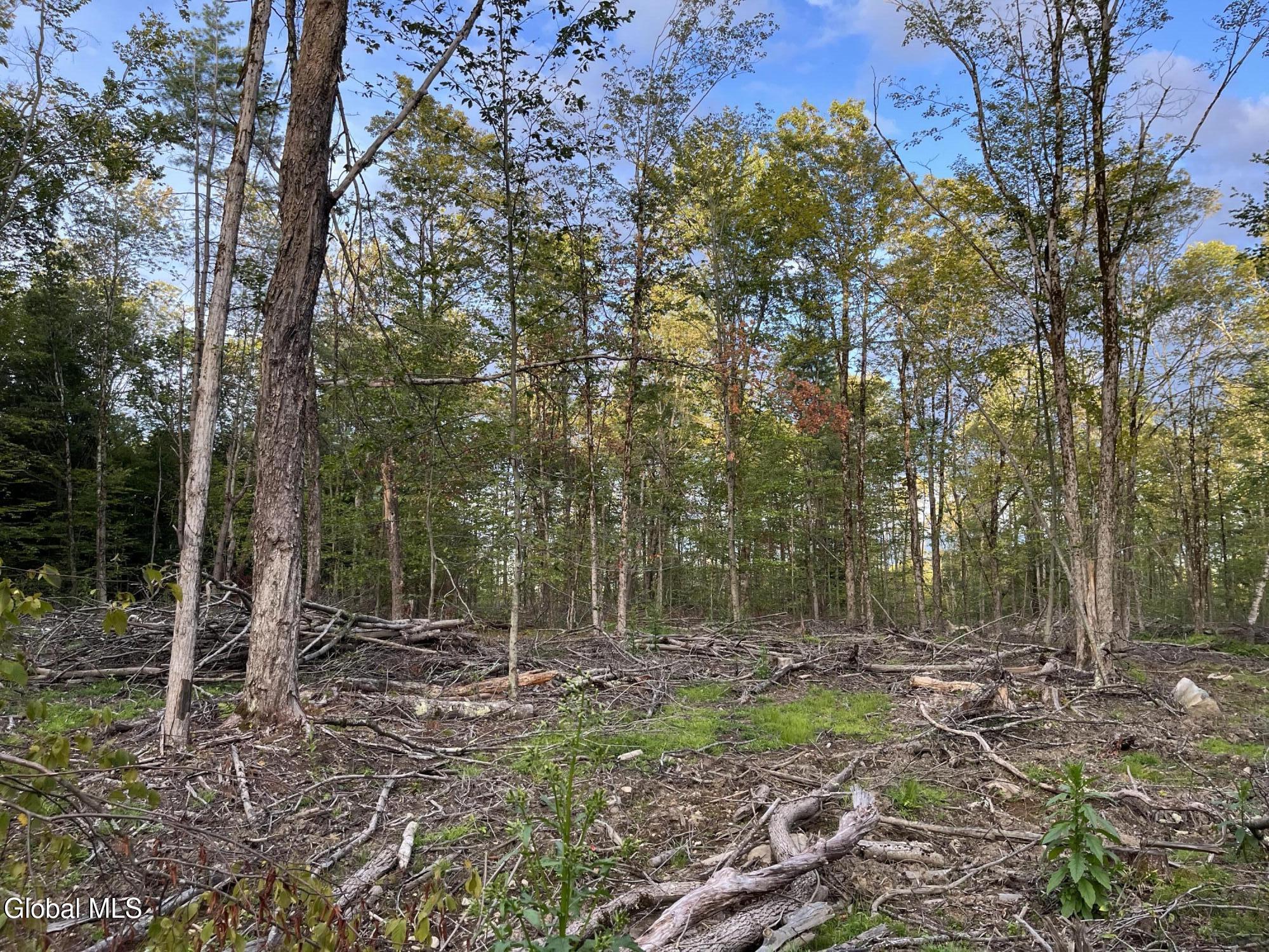 204 Crandall Road Petersburgh NY 12138