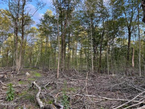 204 Crandall Road Petersburgh NY 12138