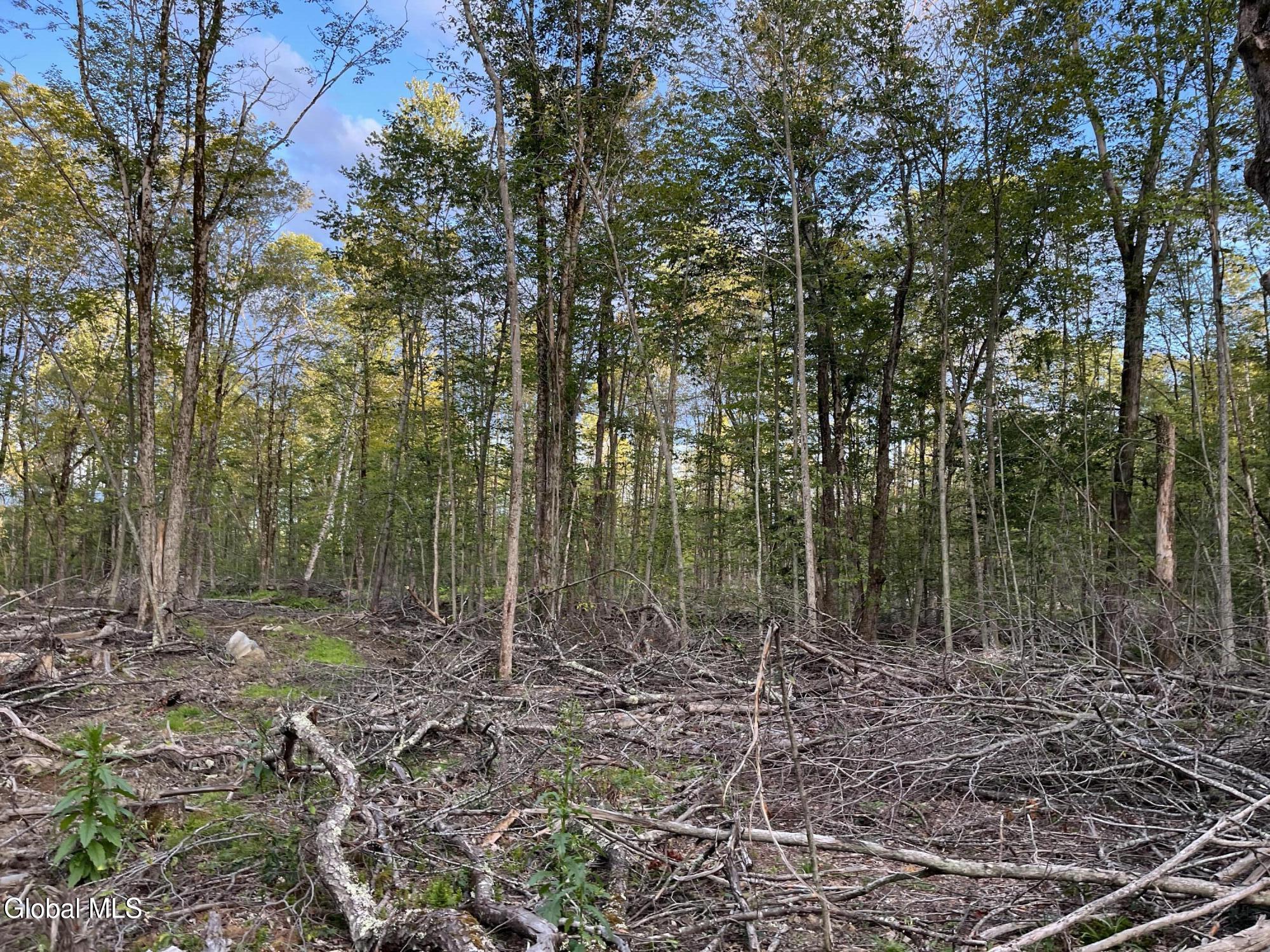 204 Crandall Road Petersburgh NY 12138