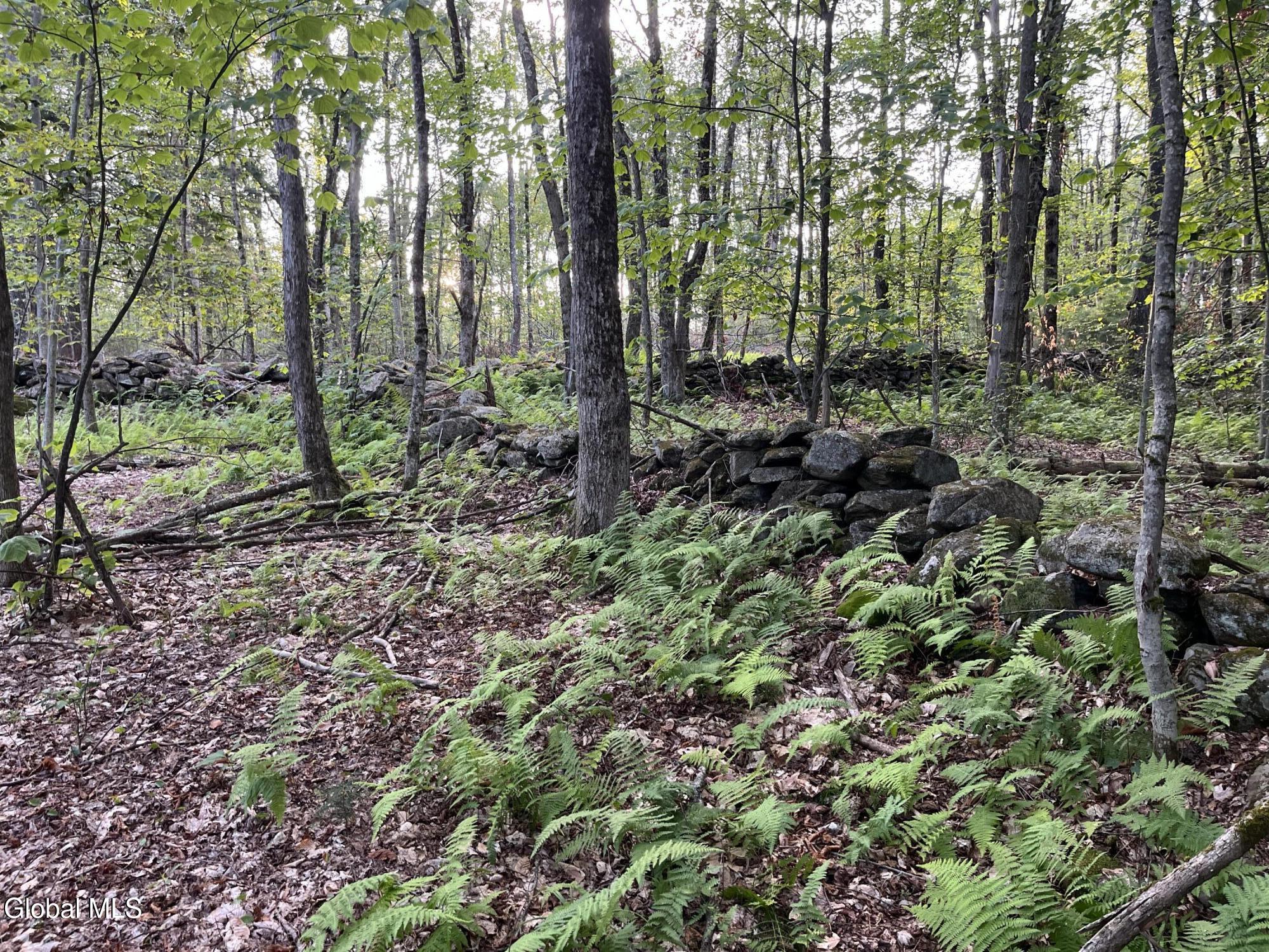204 Crandall Road Petersburgh NY 12138