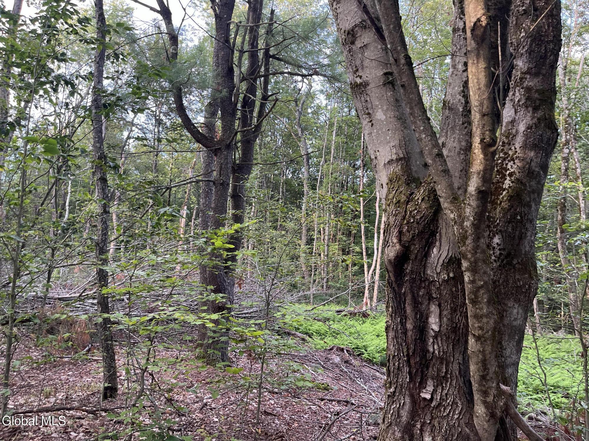 204 Crandall Road Petersburgh NY 12138