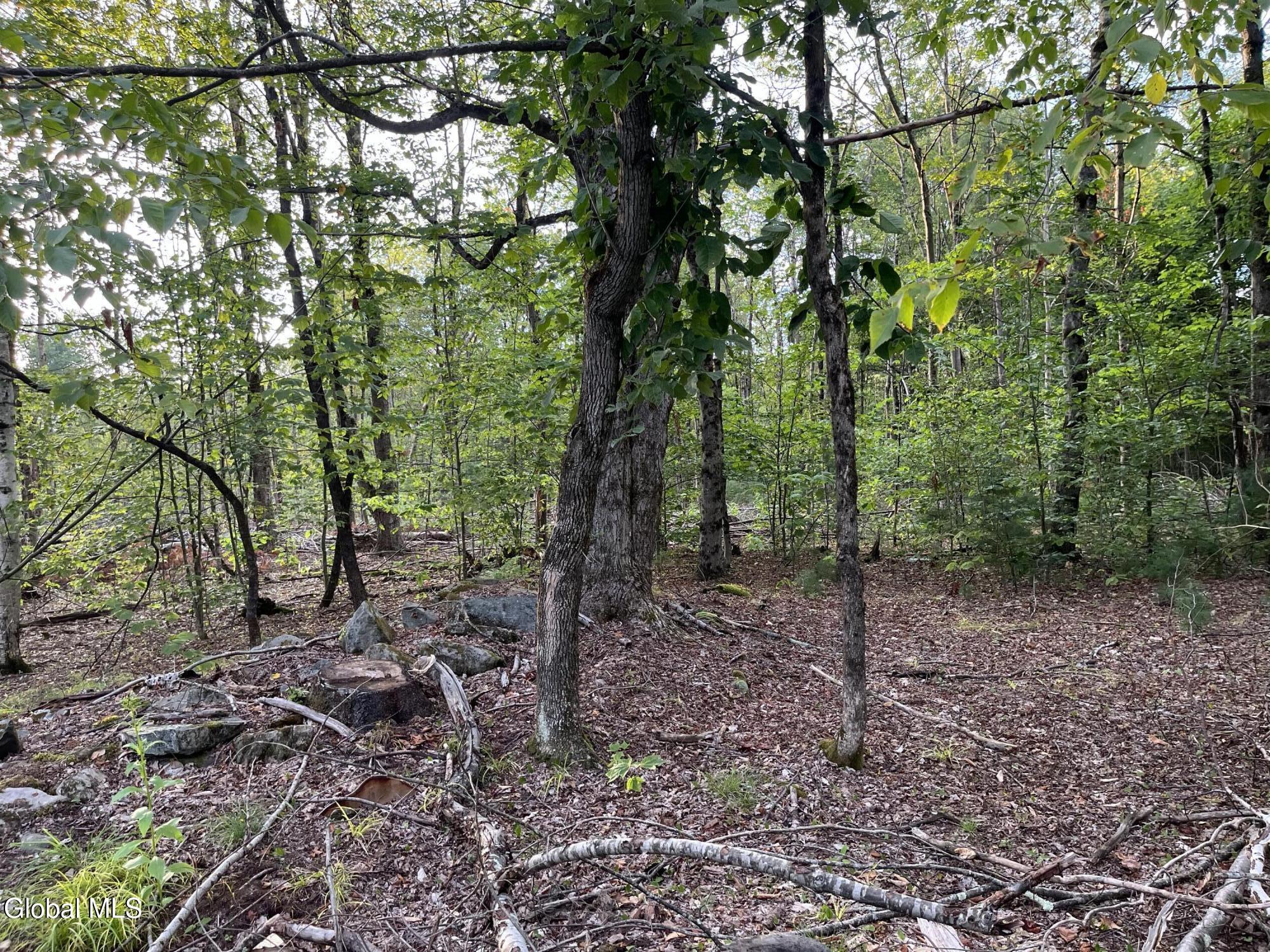 204 Crandall Road Petersburgh NY 12138