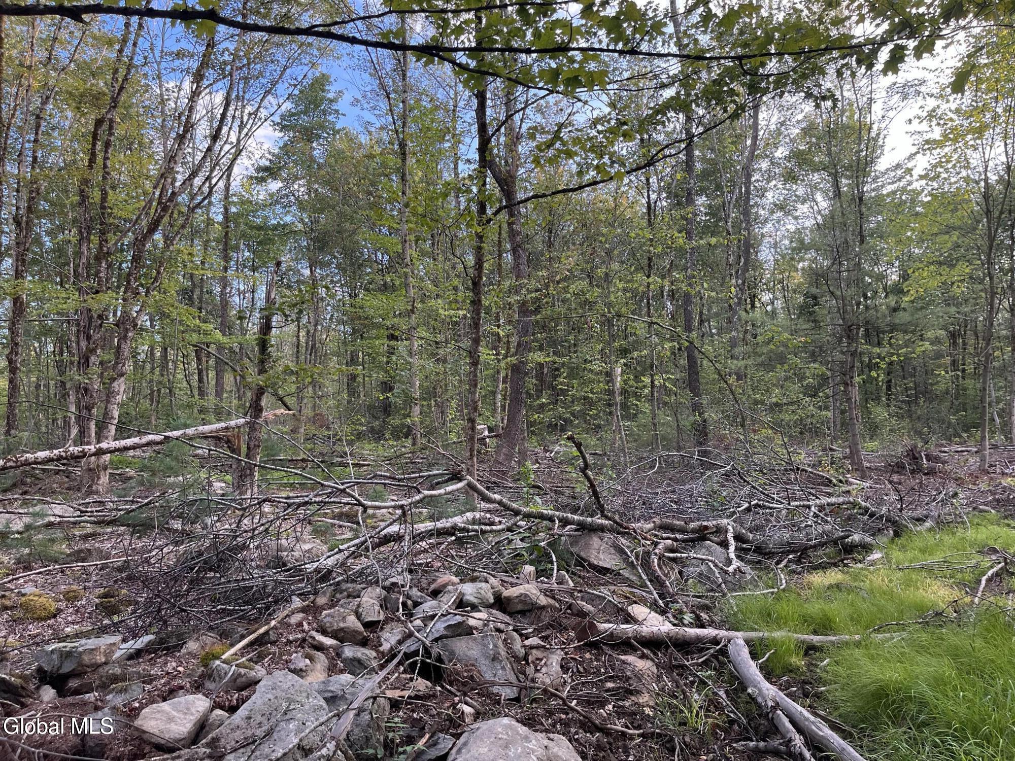 204 Crandall Road Petersburgh NY 12138