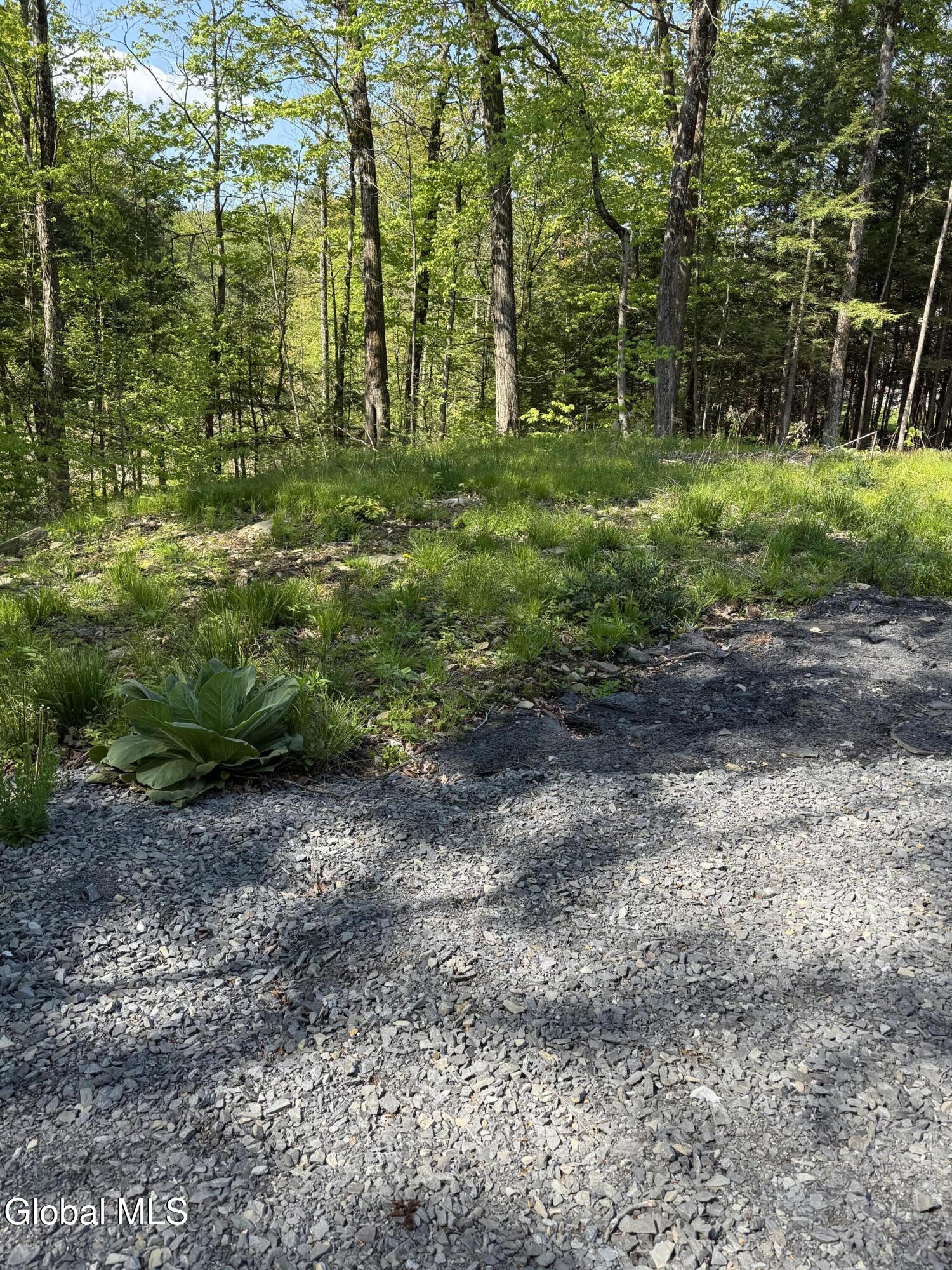 2943 Skyline Drive Schenectady NY 12306
