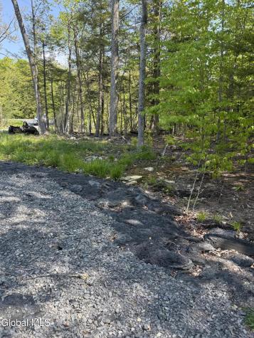 2943 Skyline Drive Schenectady NY 12306