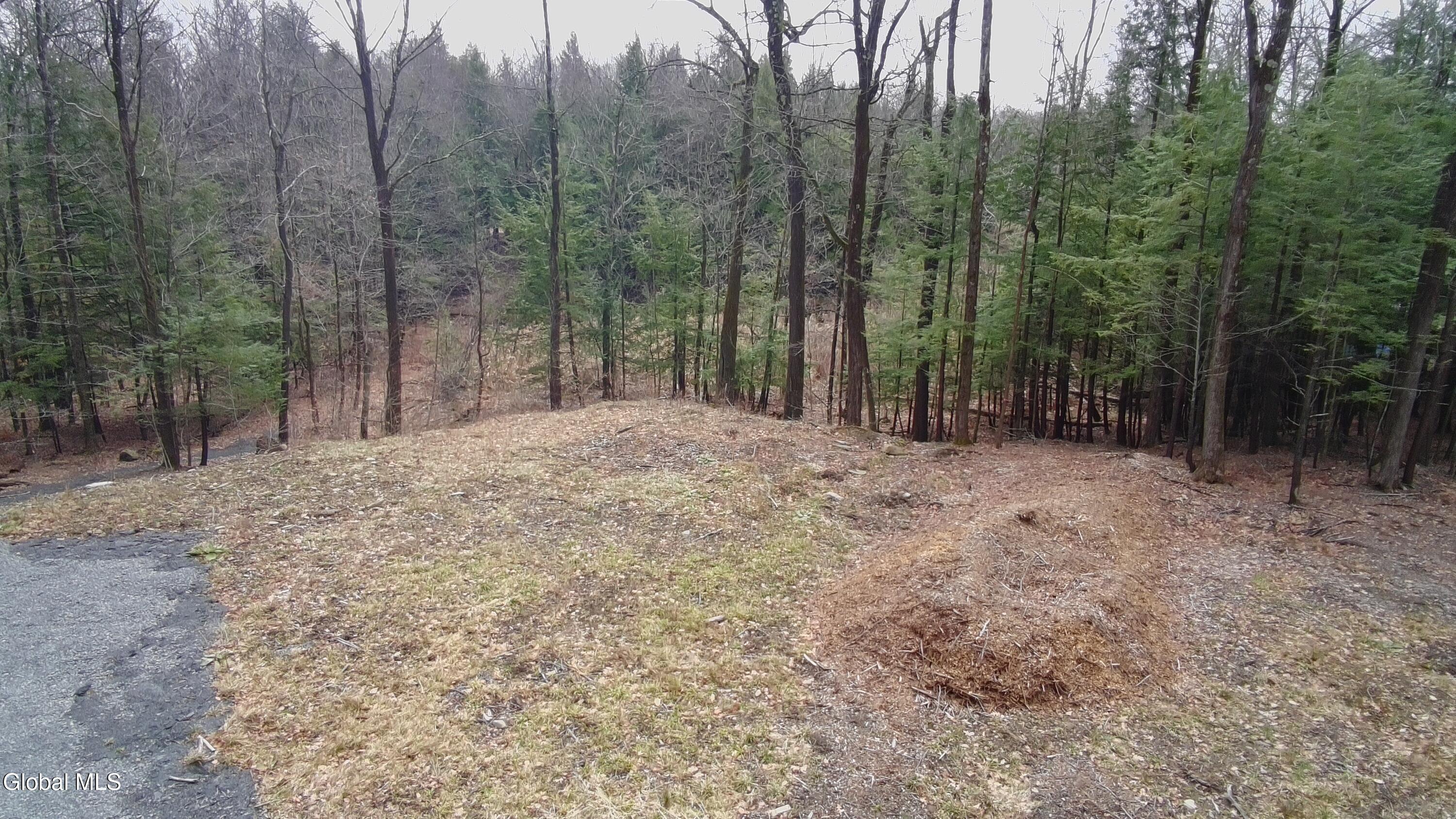 2943 Skyline Drive Schenectady NY 12306