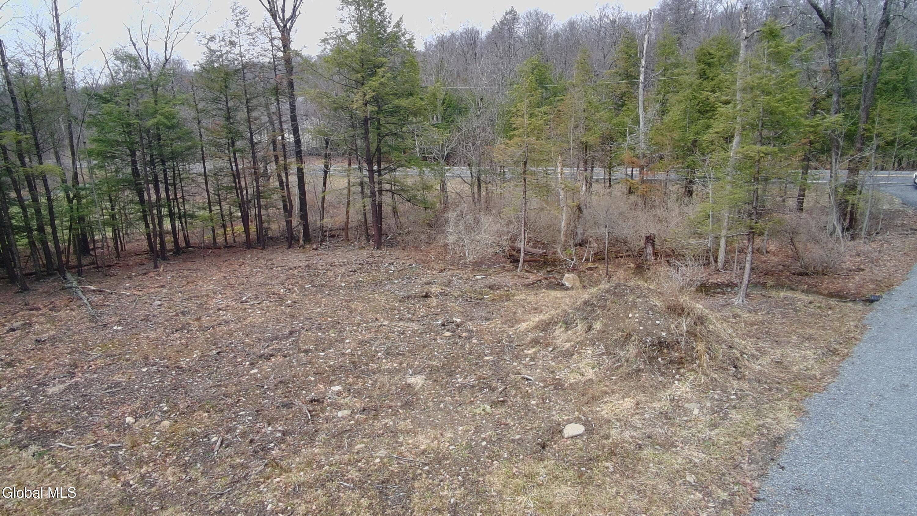 2943 Skyline Drive Schenectady NY 12306