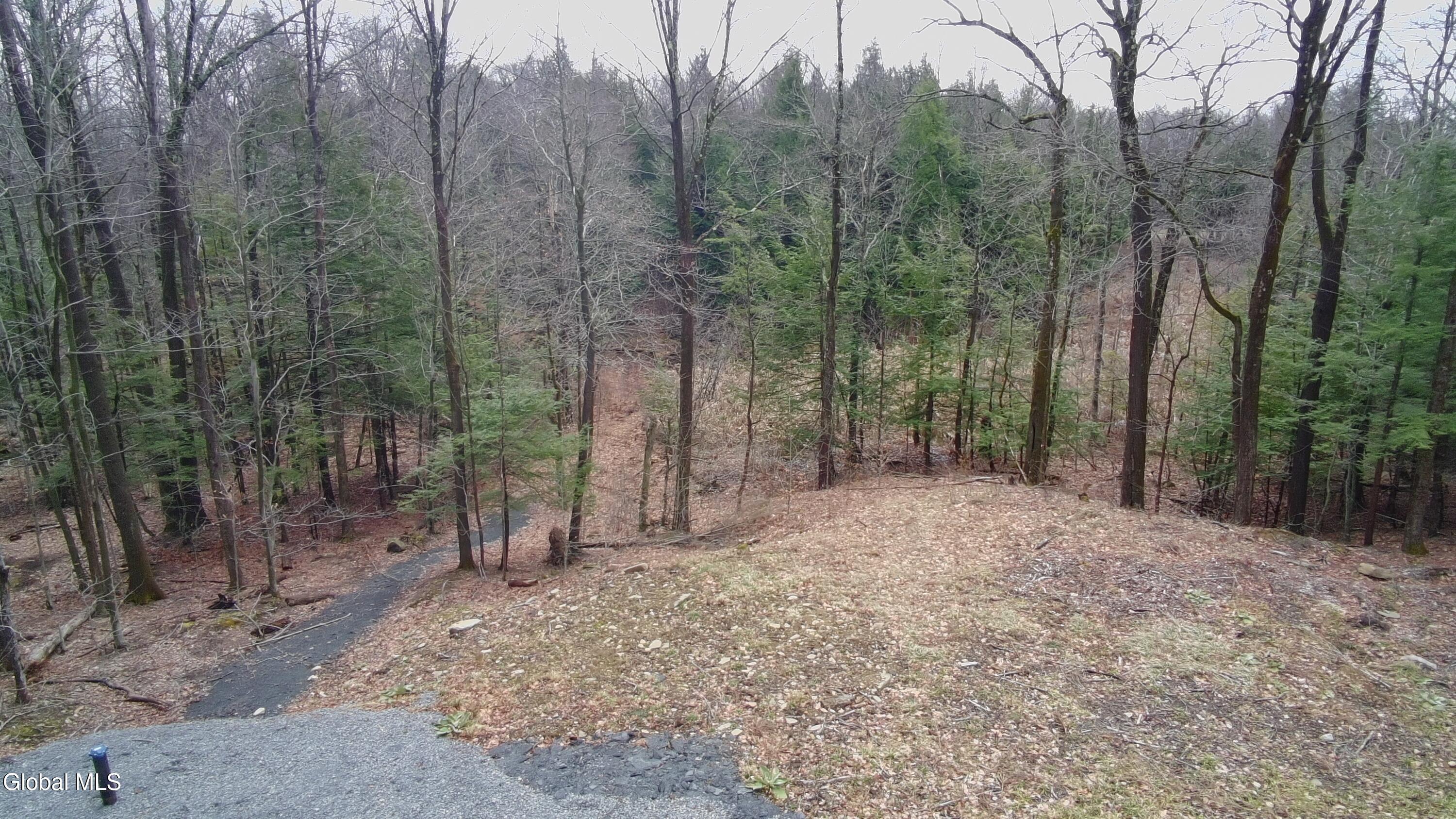 2943 Skyline Drive Schenectady NY 12306