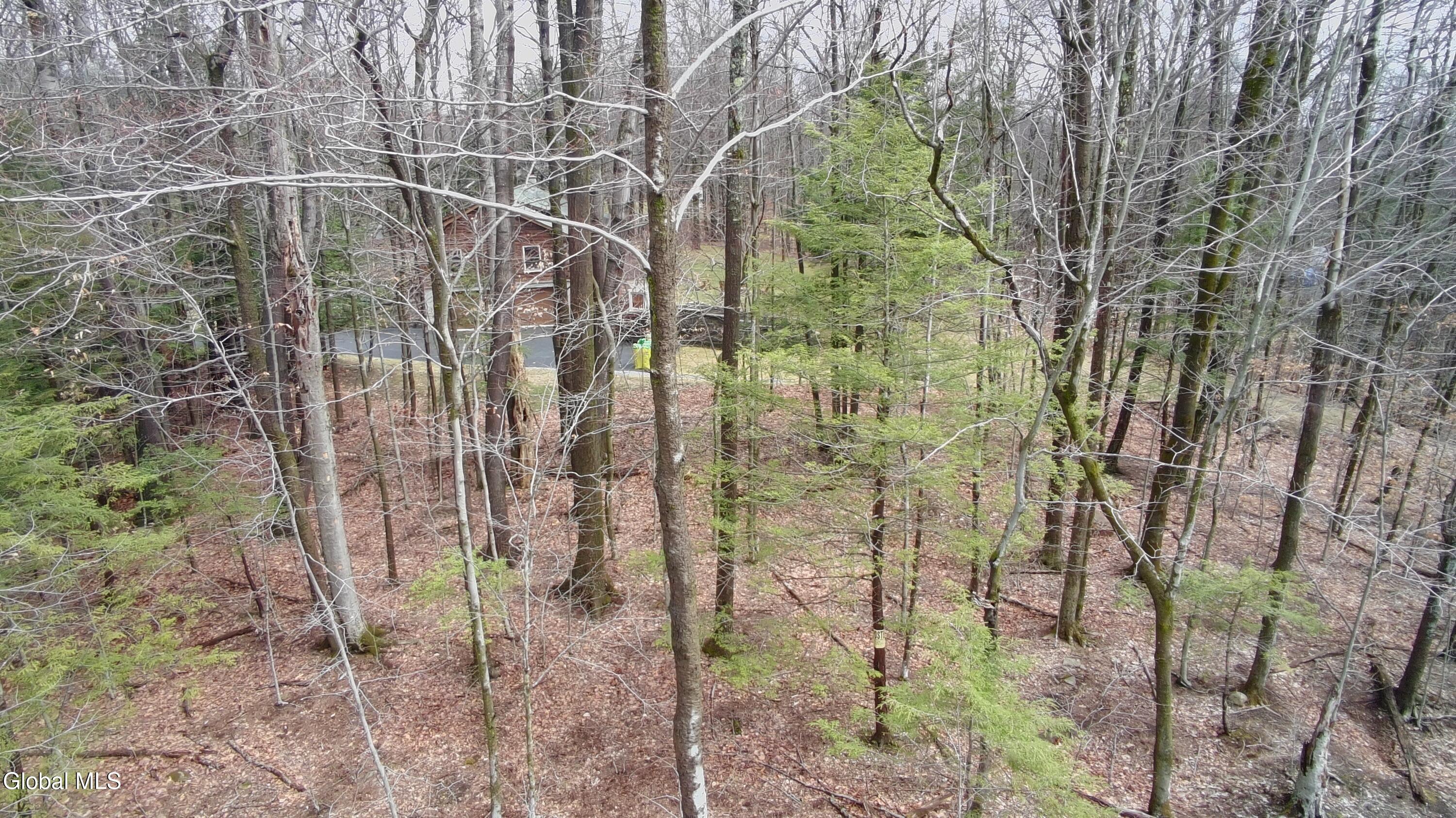 2943 Skyline Drive Schenectady NY 12306
