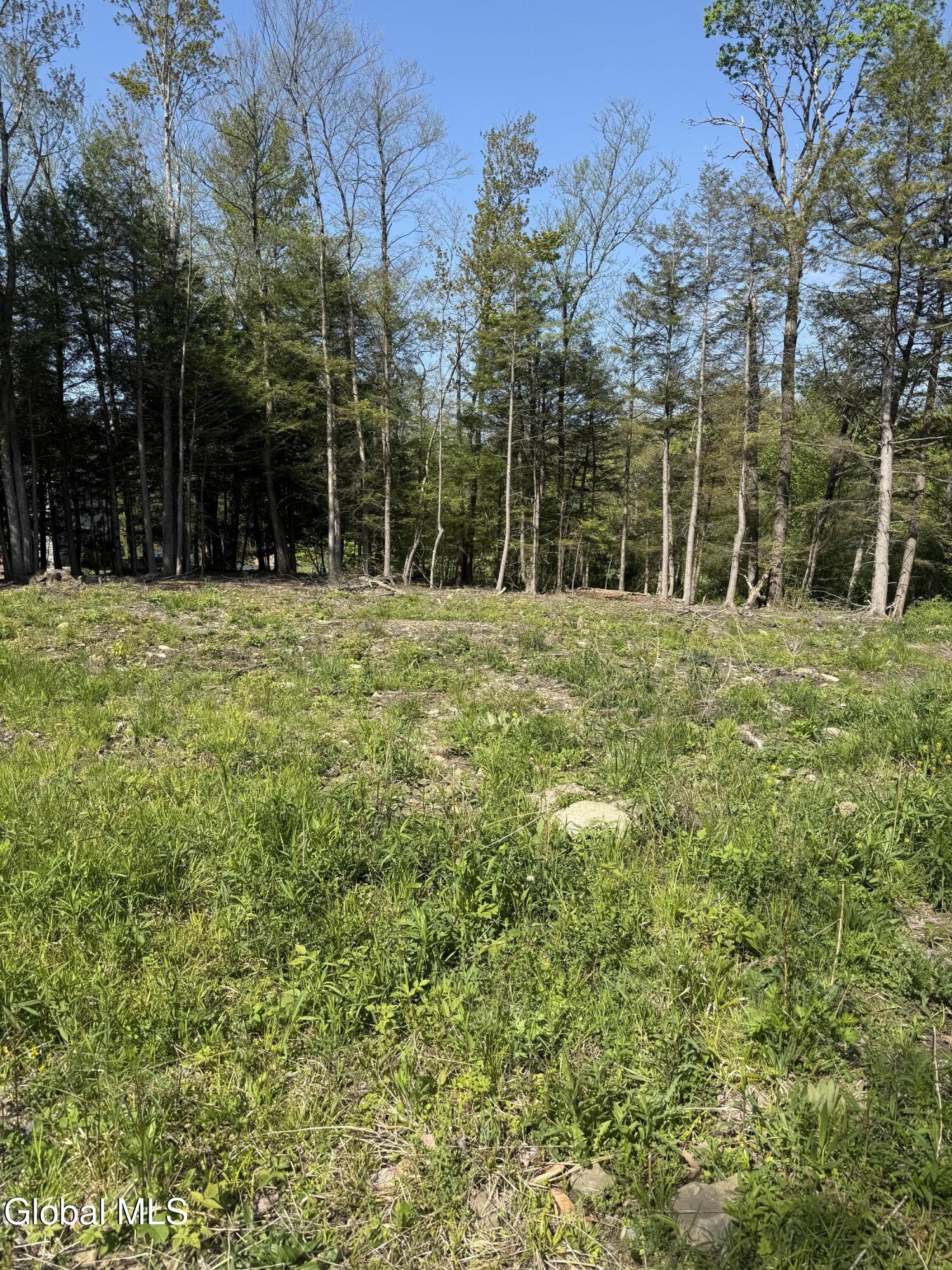 2943 Skyline Drive Schenectady NY 12306