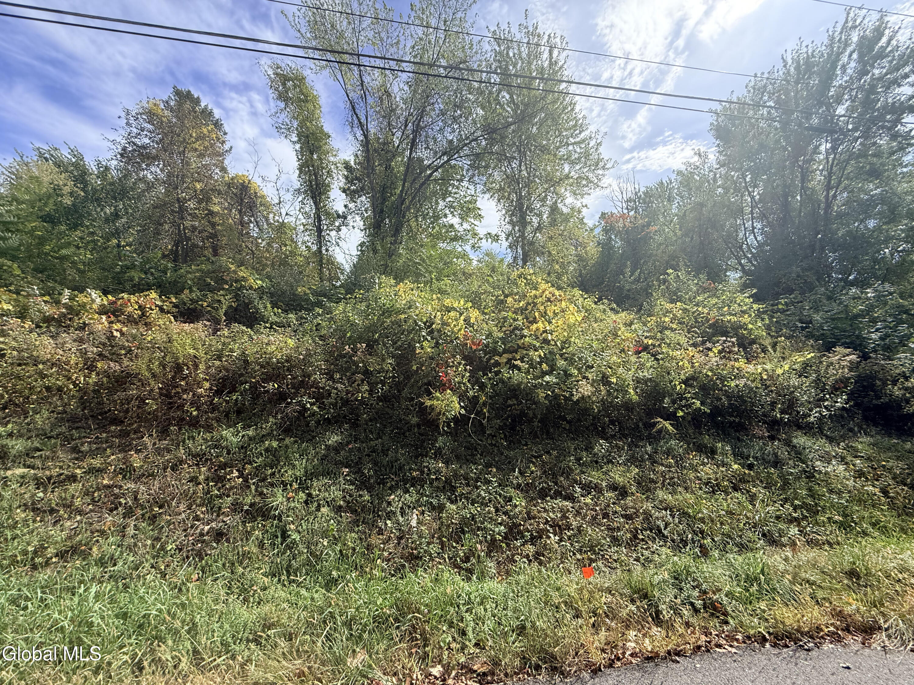 20 Dusenberry Lane Troy NY 12180