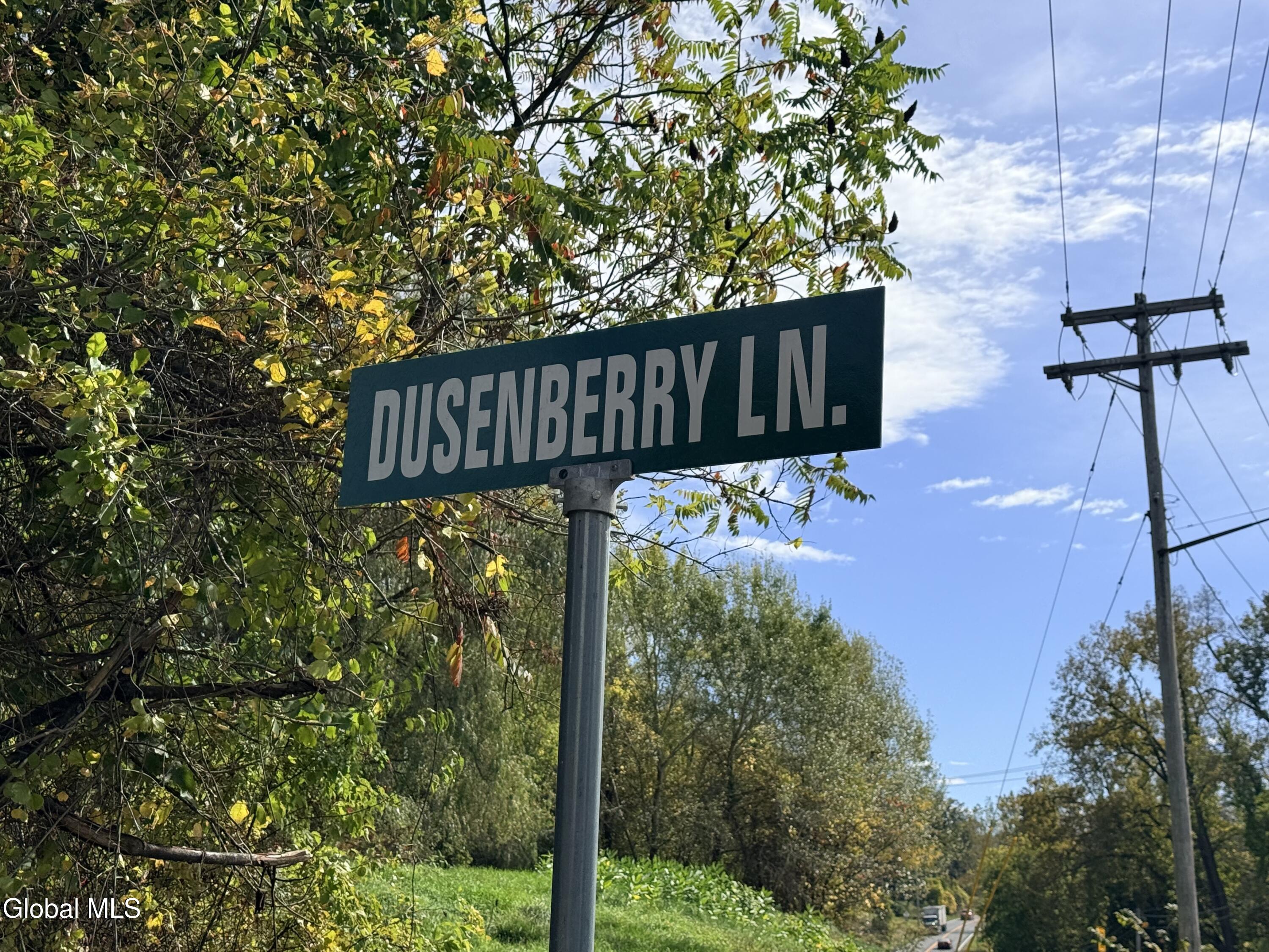 20 Dusenberry Lane Troy NY 12180