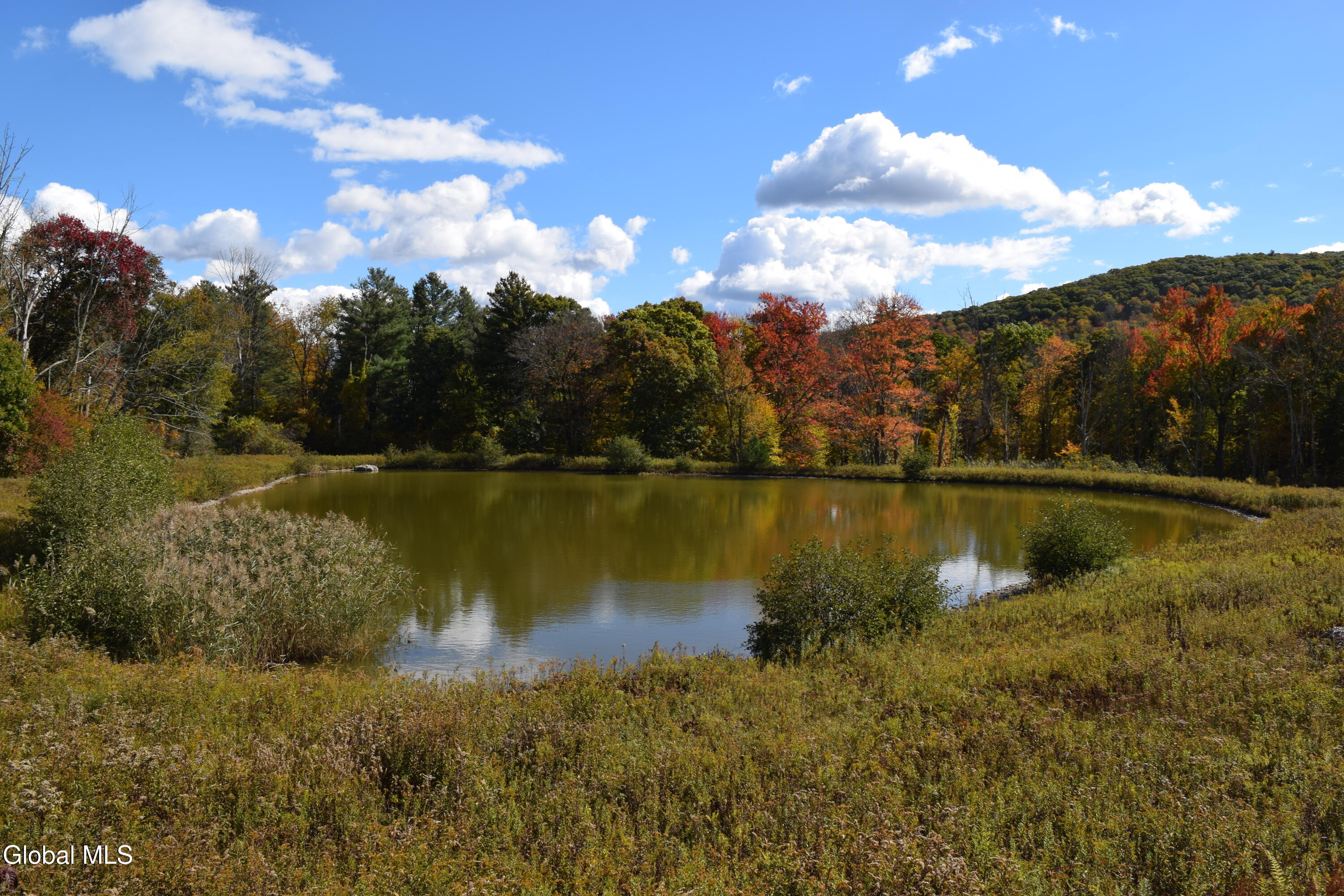 10695 Route 22 Hillsdale NY 12529