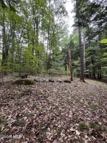 23 Butternut Way Kattskill Bay NY 12844