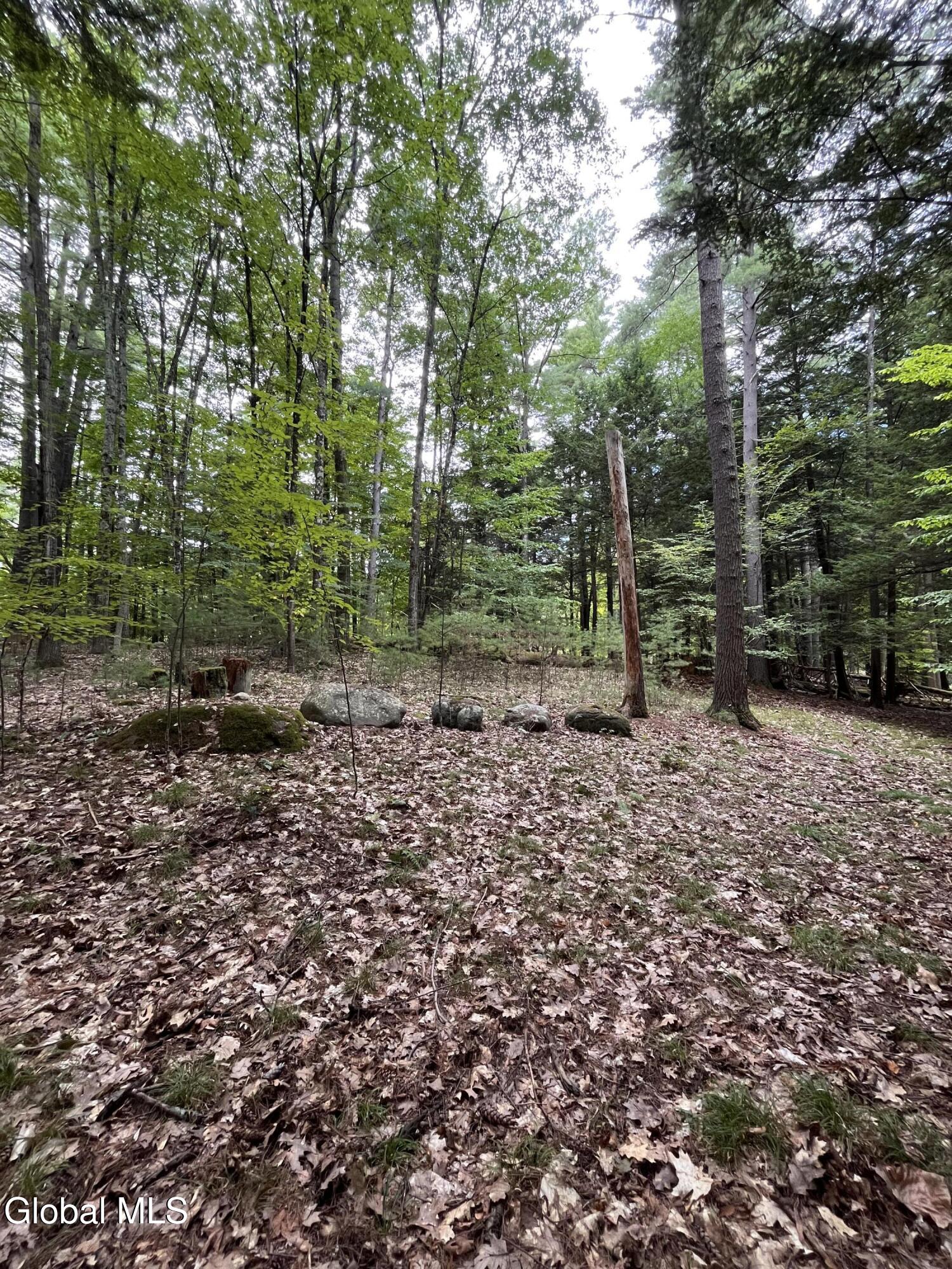 23 Butternut Way Kattskill Bay NY 12844