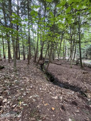 23 Butternut Way Kattskill Bay NY 12844