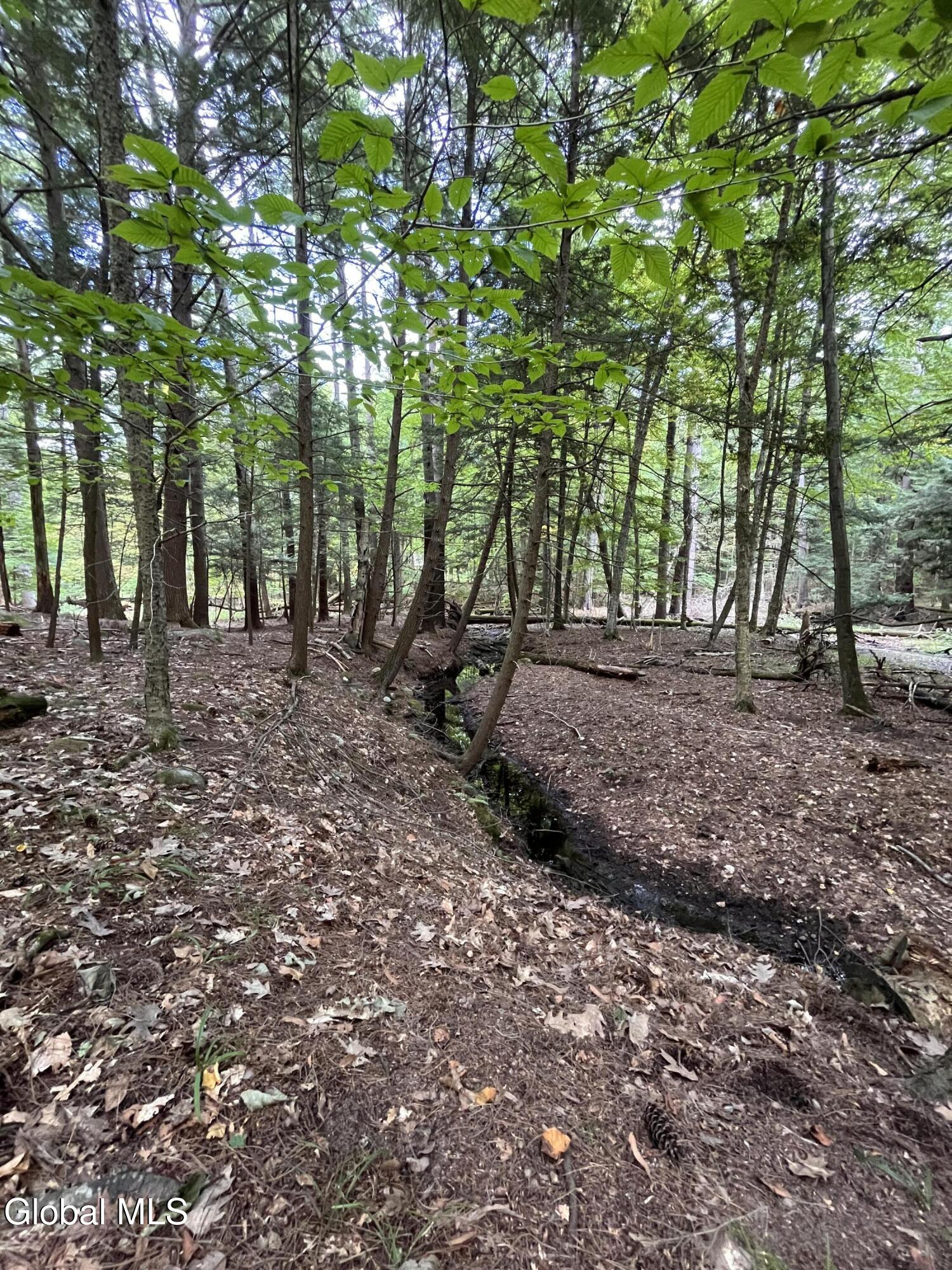 23 Butternut Way Kattskill Bay NY 12844