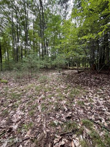 23 Butternut Way Kattskill Bay NY 12844