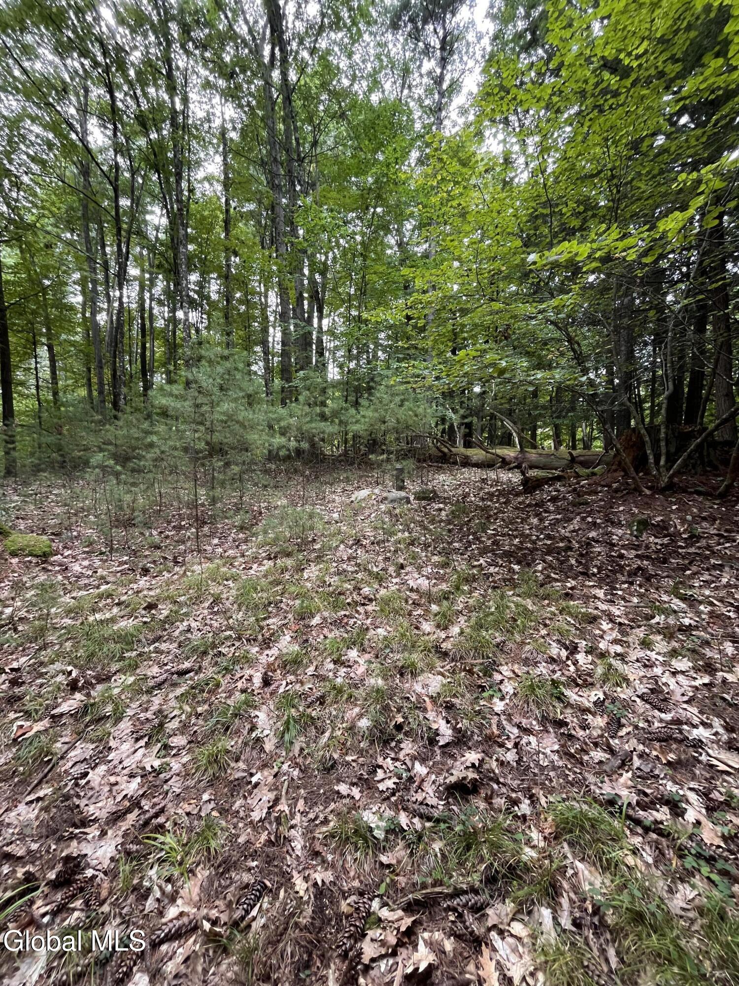 23 Butternut Way Kattskill Bay NY 12844