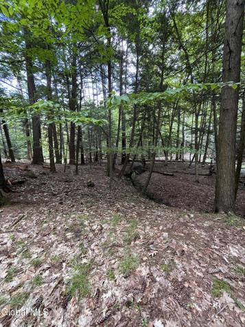 23 Butternut Way Kattskill Bay NY 12844