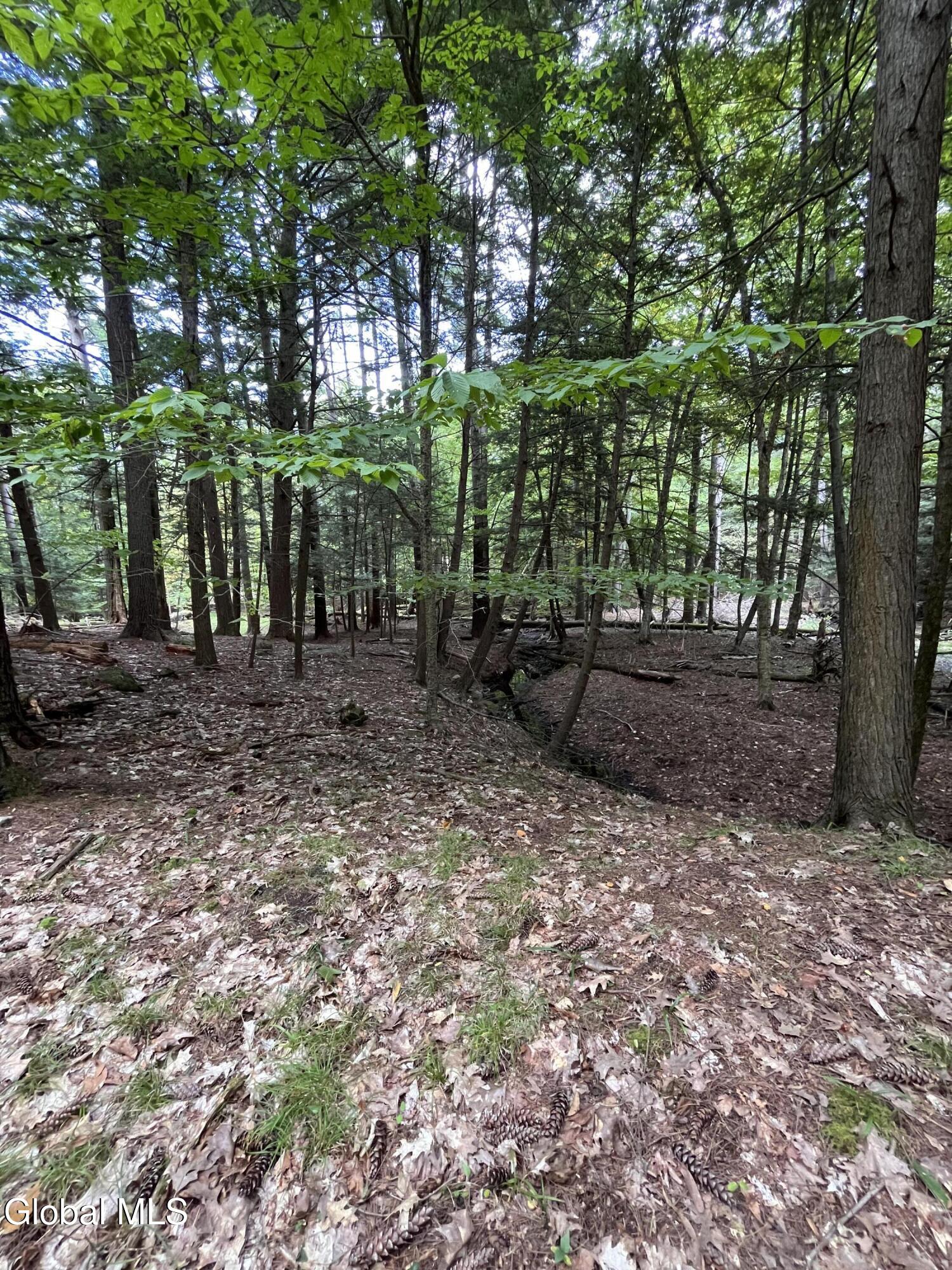 23 Butternut Way Kattskill Bay NY 12844
